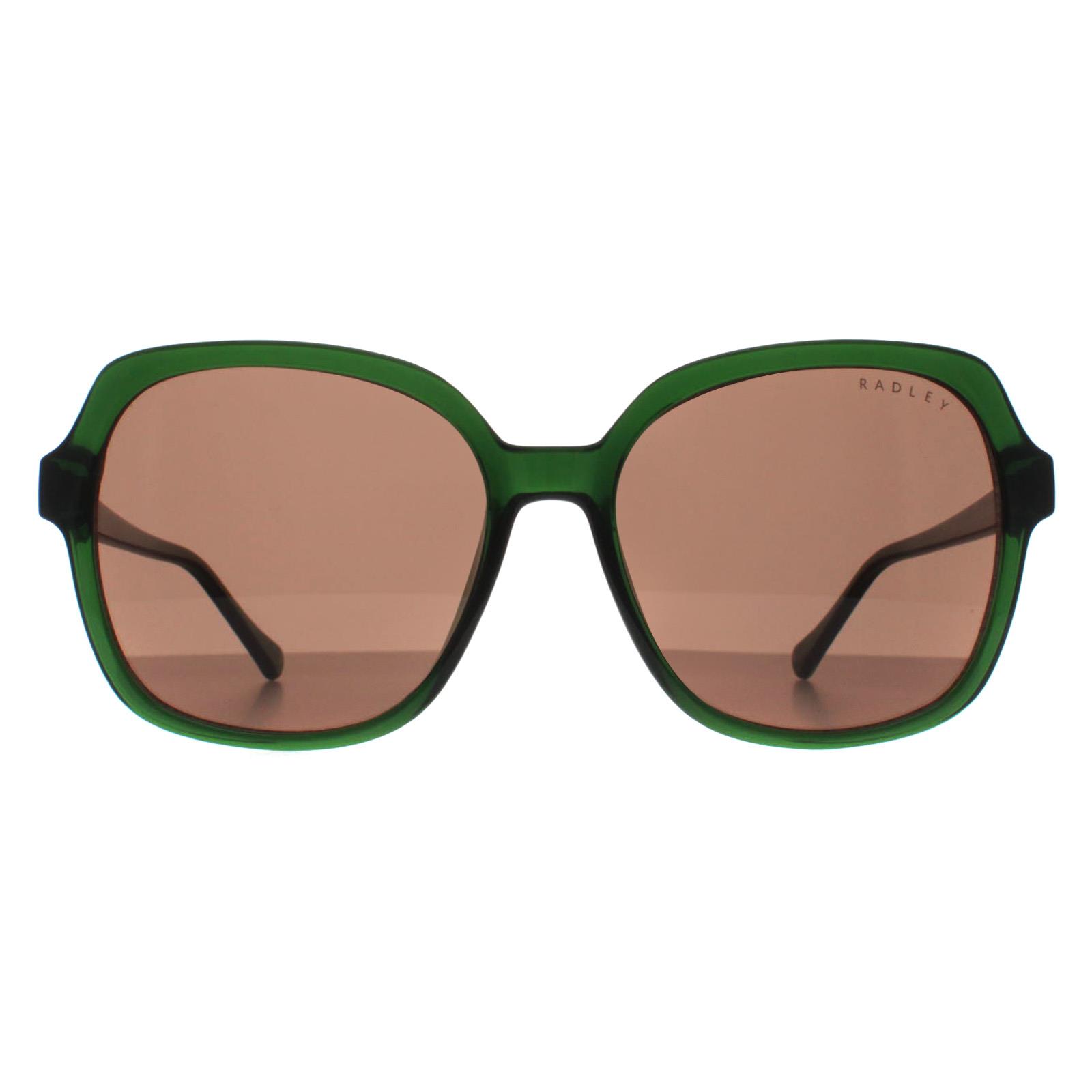 Green Radley Green Square Transparent Dark Green Brown Phoenix 6505, Image 1 of 4