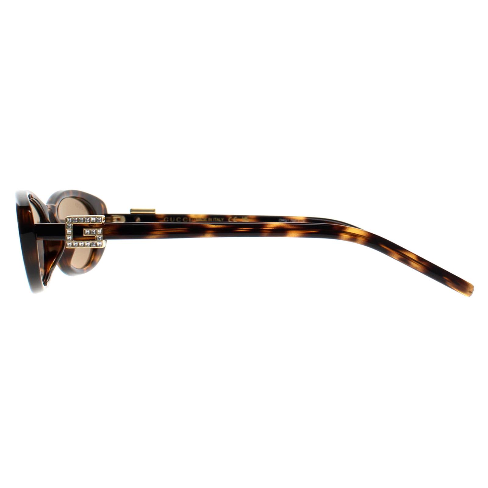 Brown Cat Eye Havana Grey GG1680S, Image 3 of 4