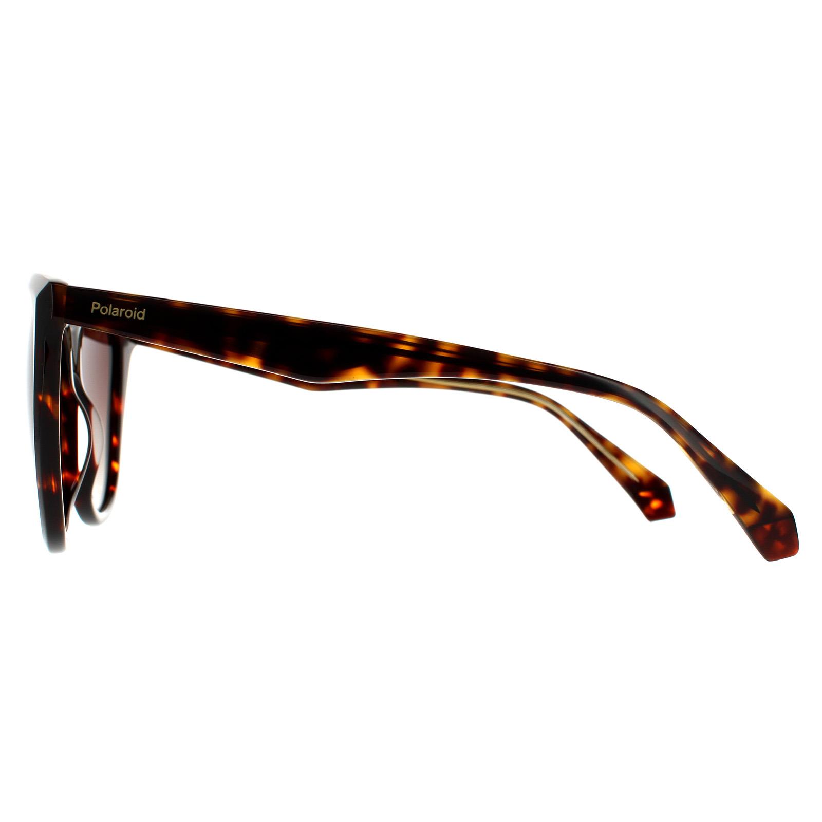 Brown Polaroid Brown Square Havana Brown Brown Gradient Polarized, Image 3 of 4