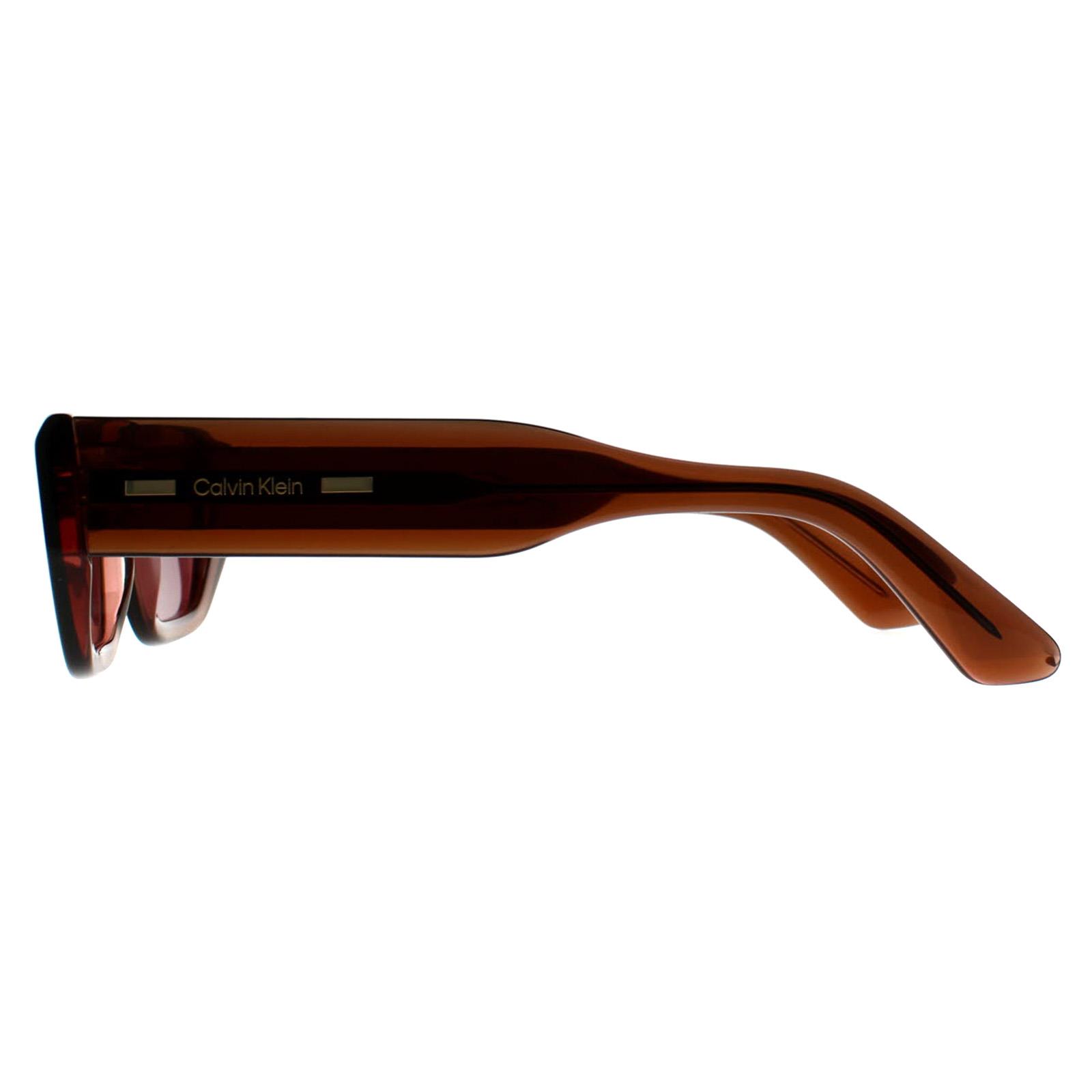Brown Calvin Klein Brown Rectangle Transparent Brown Pink Dark Purple CK24500S, Image 3 of 3