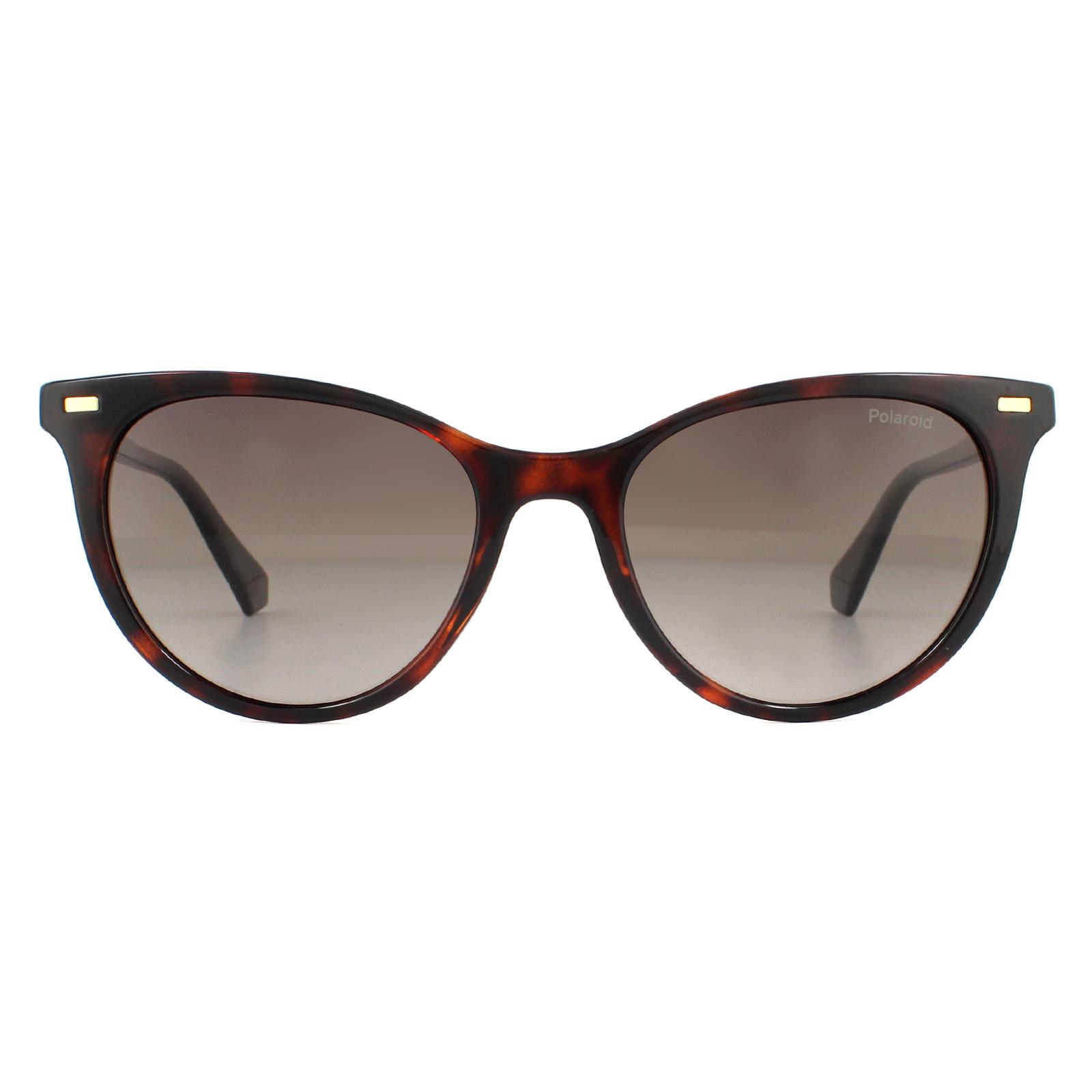 Brown Cat Eye Havana Brown Gradient Polarized Sunglasses, Image 1 of 4