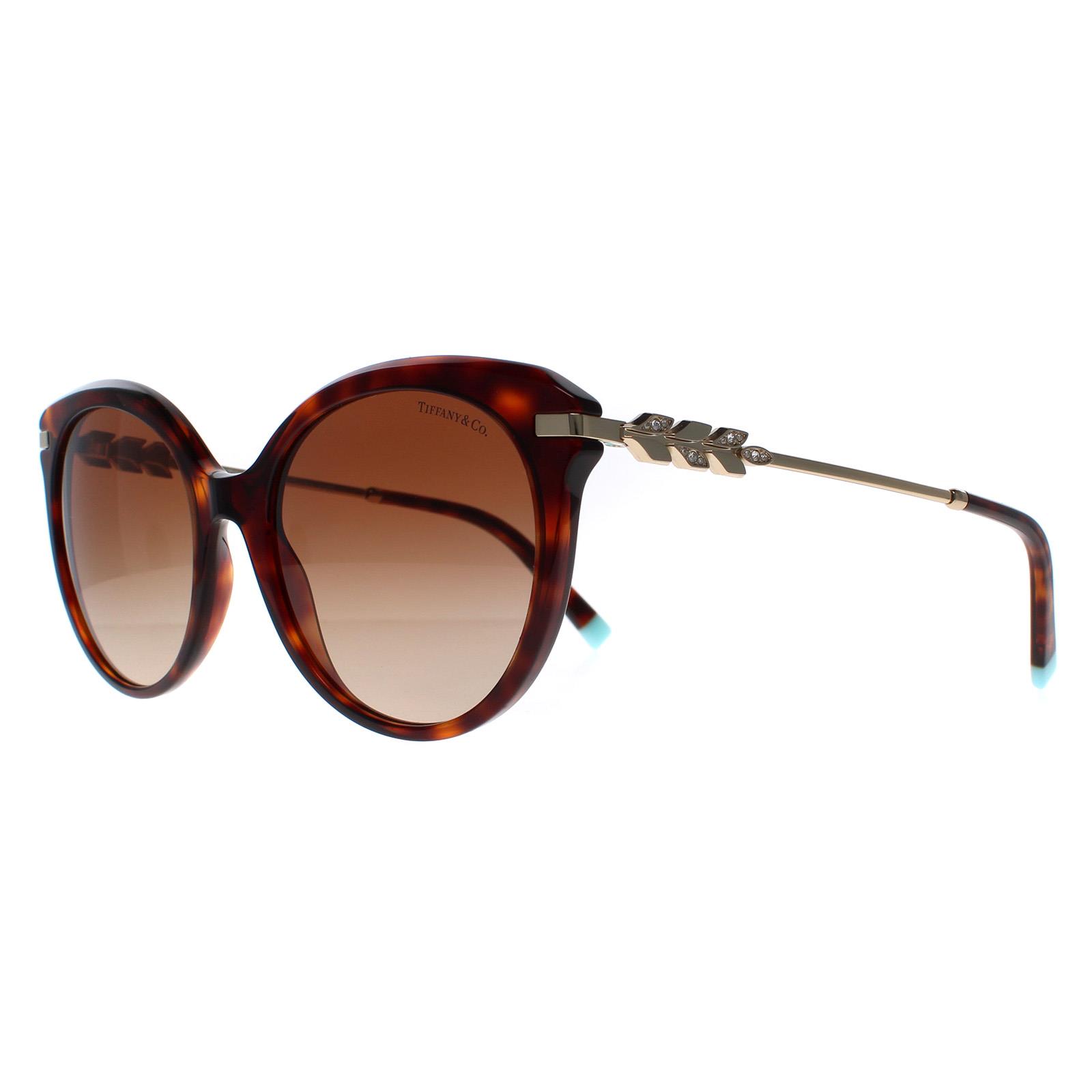 Brown Cat Eye Havana Brown Gradient TF4189, Image 2 of 6