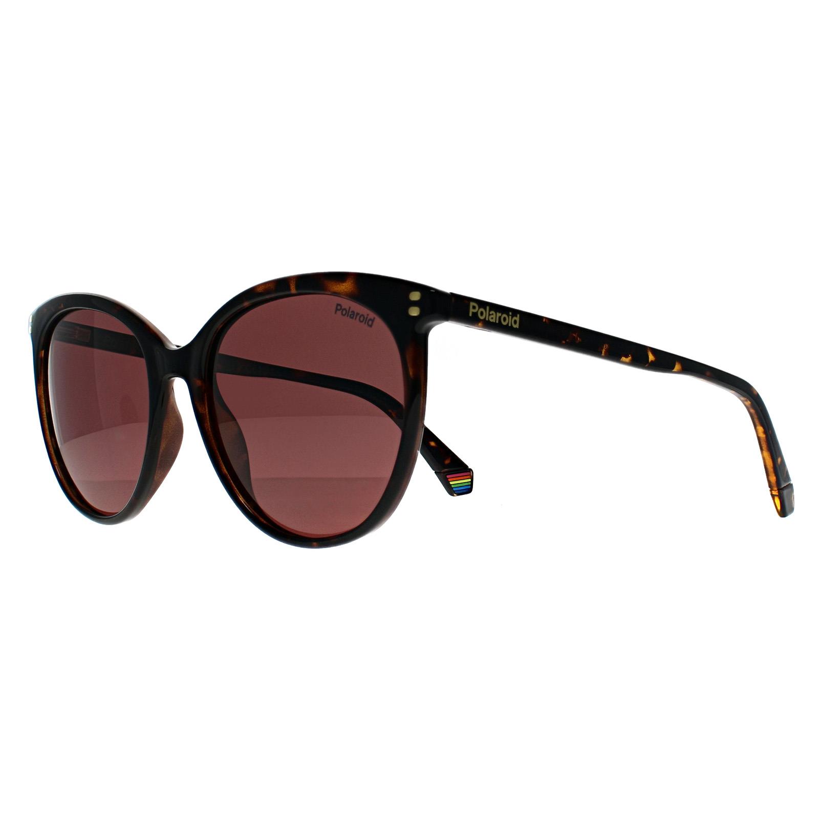 Brown Cat Eye Havana Violet Polarized PLD 6231/S, Image 2 of 3