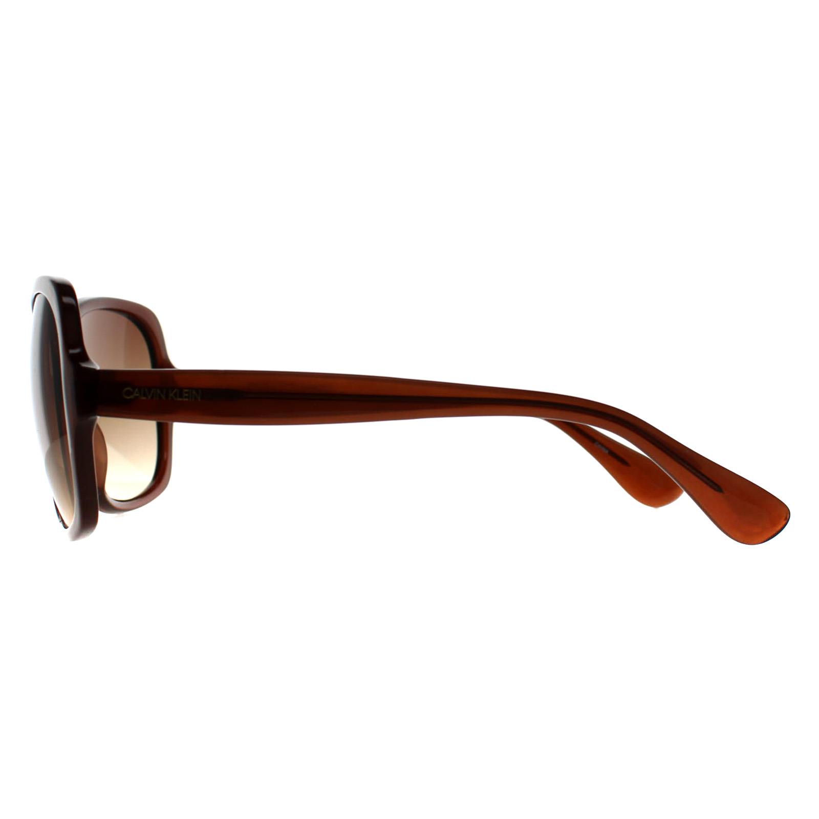 Brown Calvin Klein Brown Cat Eye Crystal Brown Brown Gradient CK19538S, Image 3 of 3