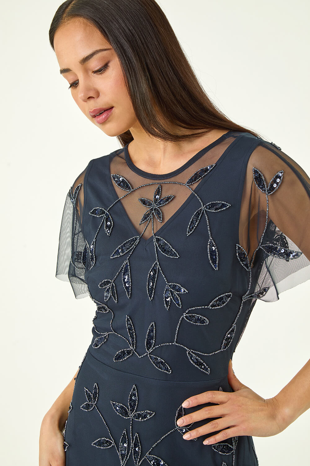 Navy  Petite Embroidered Mesh Layered Dress, Image 5 of 5