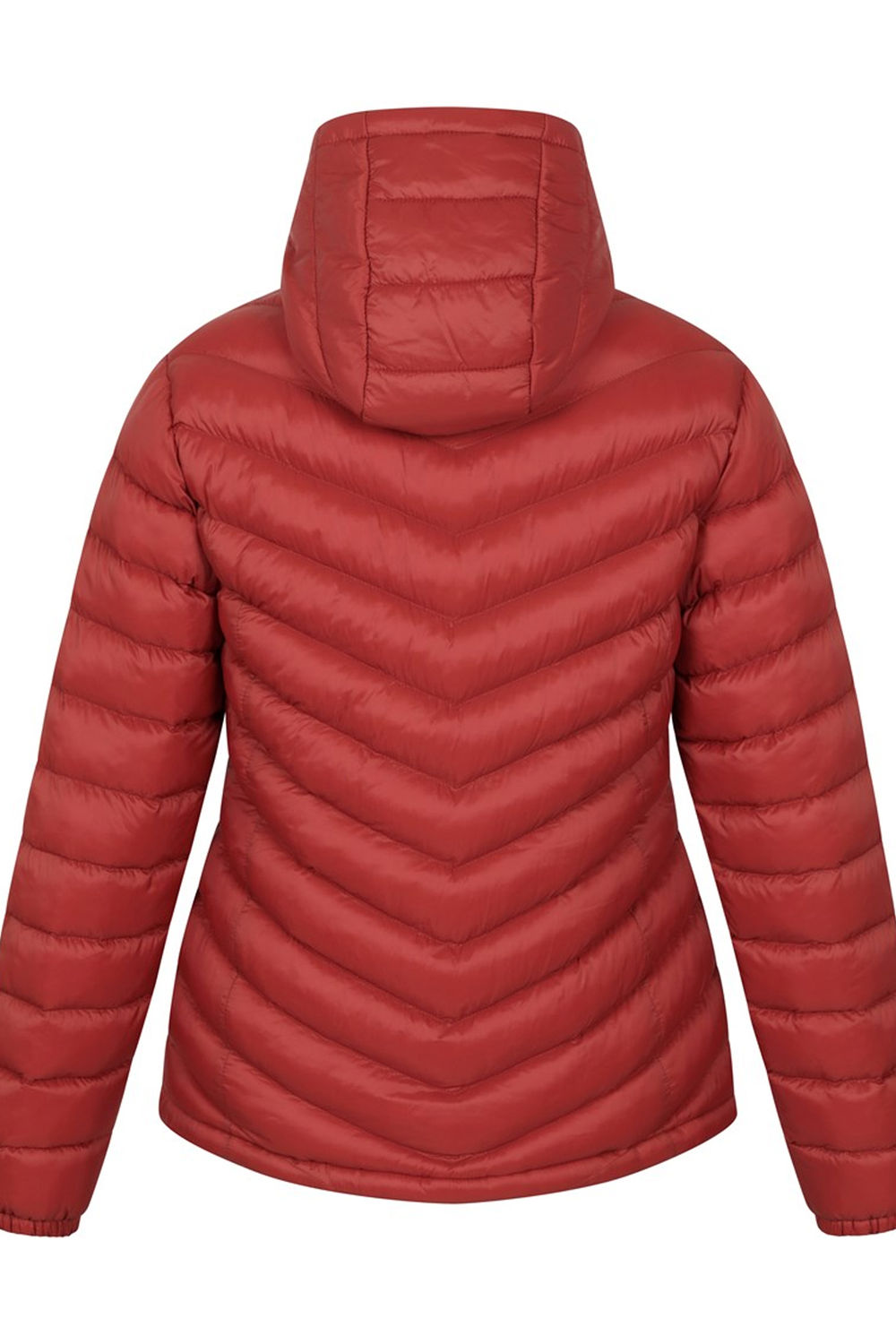 Orange Seasons Padded Jacket, Image 2 of 4