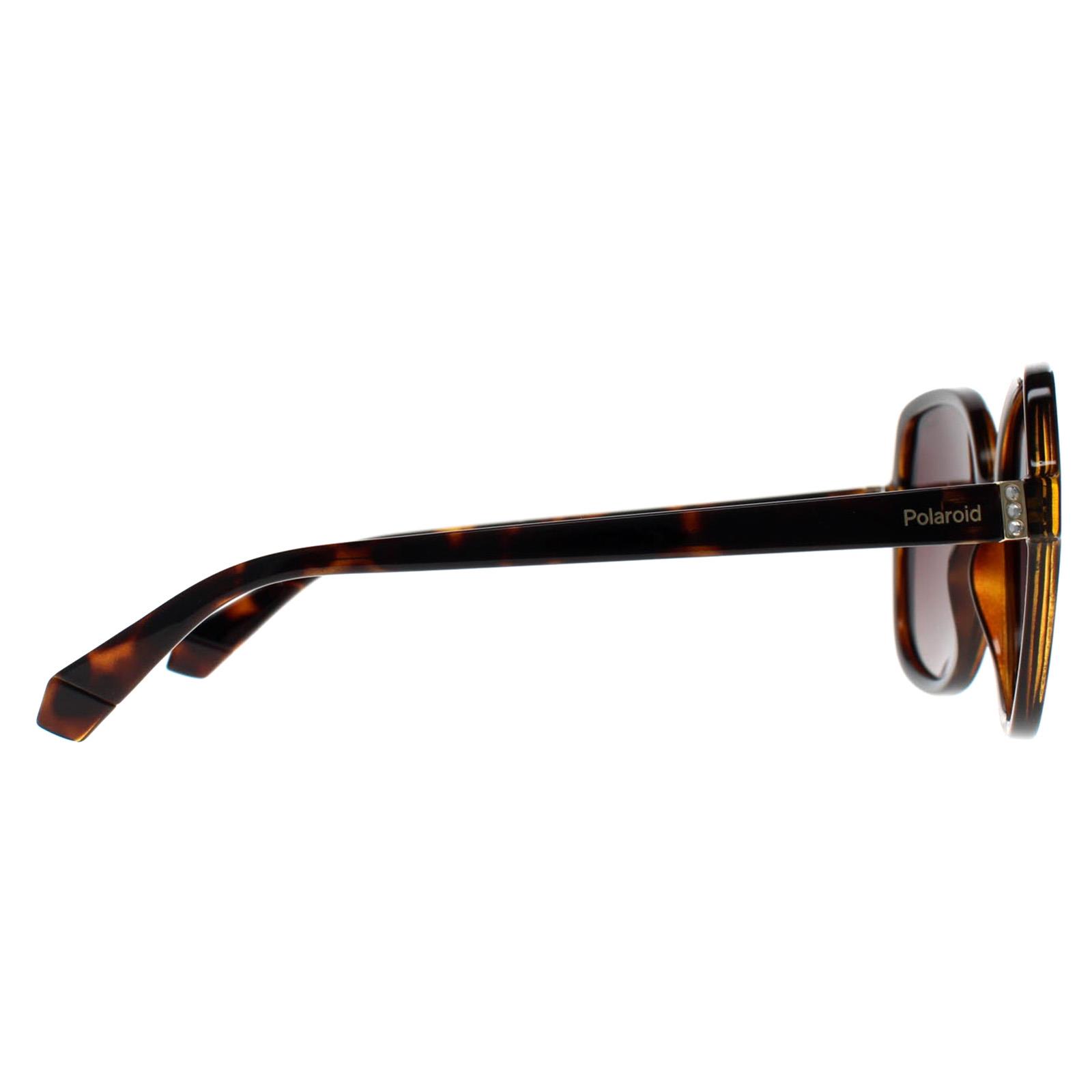 Brown Square Havana Brown Gradient Polarized PLD 4177/S/X, Image 4 of 4
