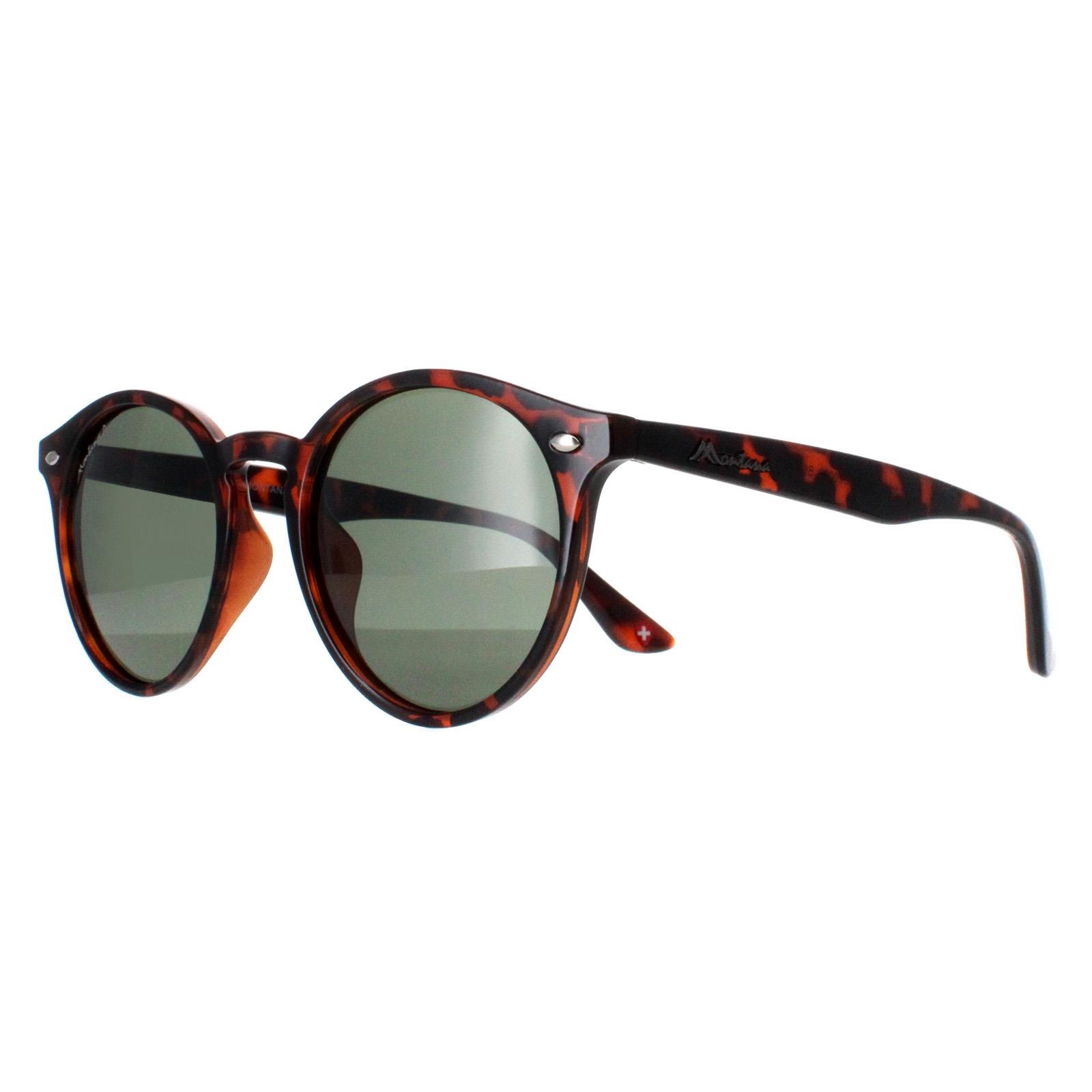 Brown Montana Brown Round Turtle G15 Polarized MP20, Image 2 of 4