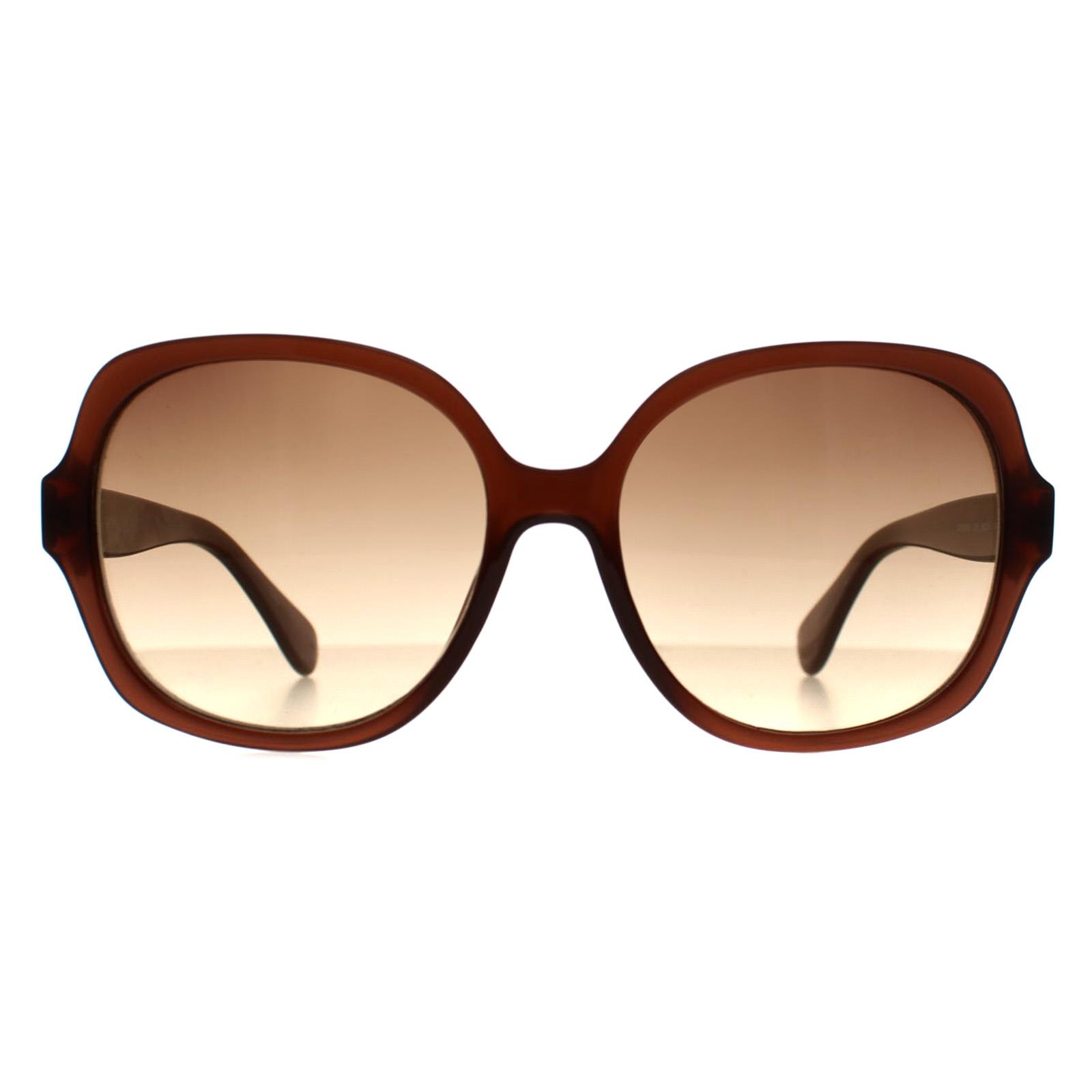 Brown Calvin Klein Brown Cat Eye Crystal Brown Brown Gradient CK19538S, Image 1 of 3