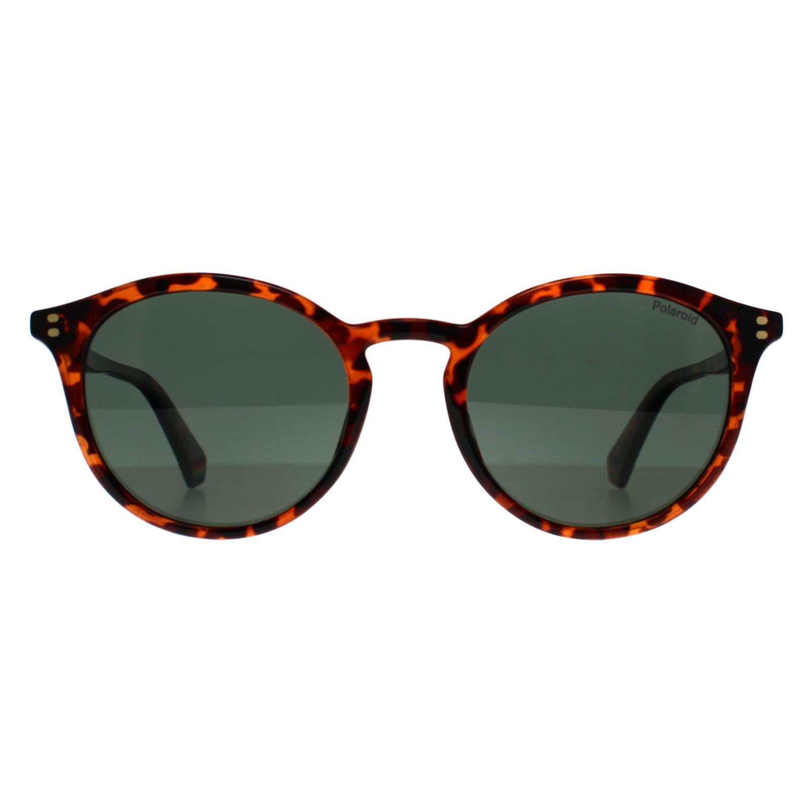 Brown Round Havana Green Polarized PLD 6233/S, Image 1 of 3