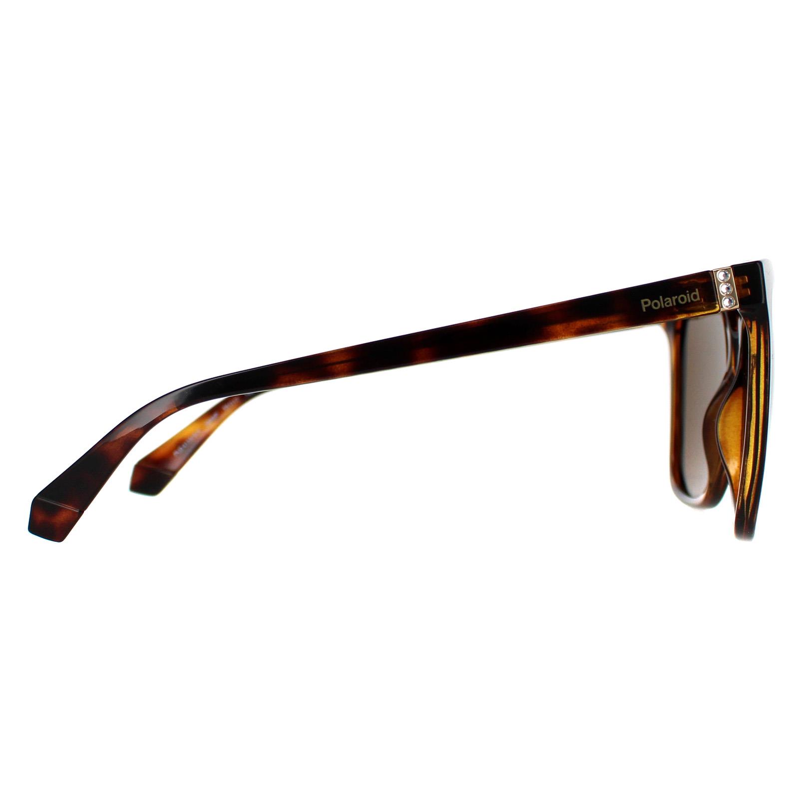 Brown Square Havana Bronze Polarized PLD 4155/S/X, Image 4 of 4