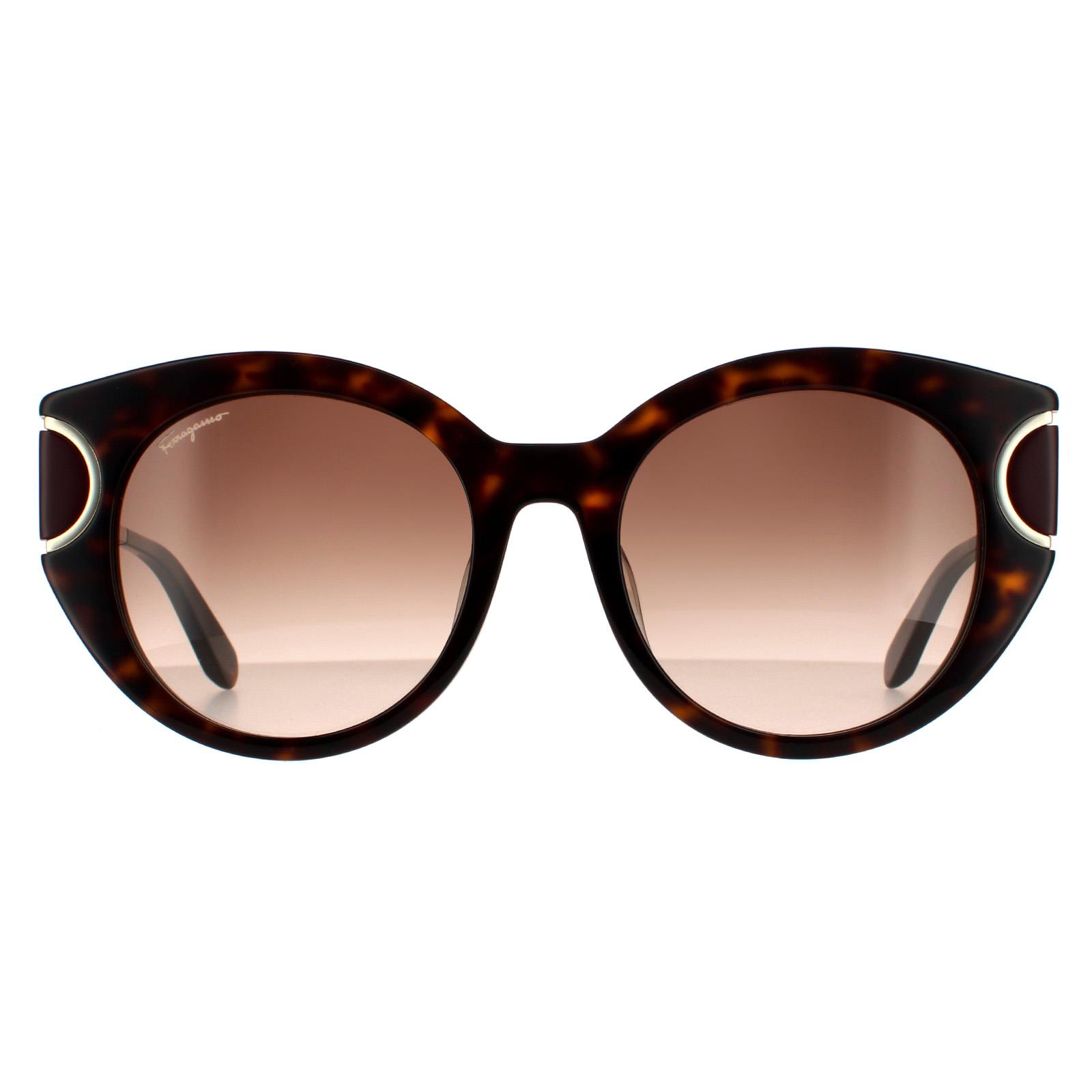 Brown Salvatore Ferragamo Brown Cat Eye Tortoise Brown Gradient Sunglasses, Image 1 of 4