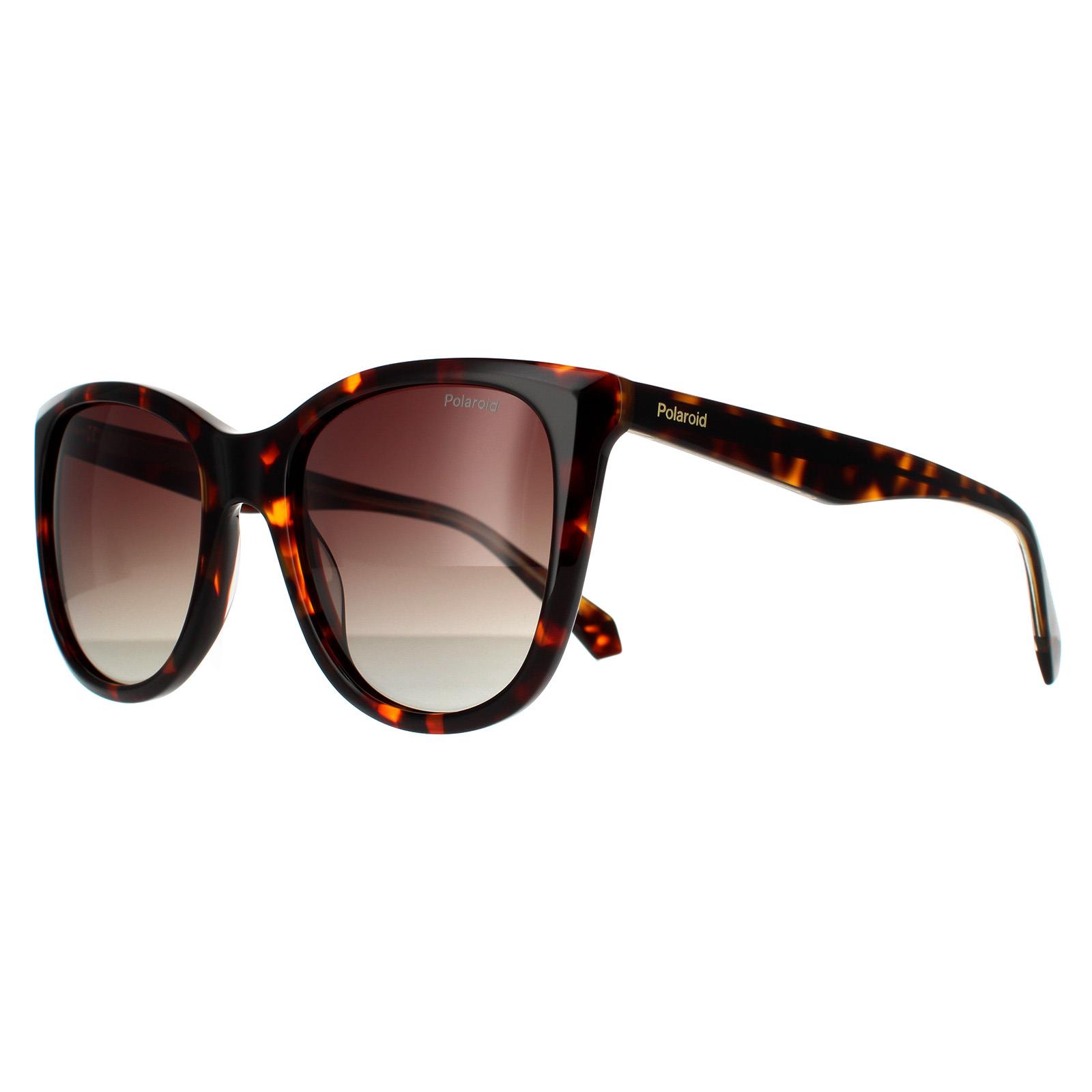 Brown Polaroid Brown Square Havana Brown Brown Gradient Polarized, Image 2 of 4