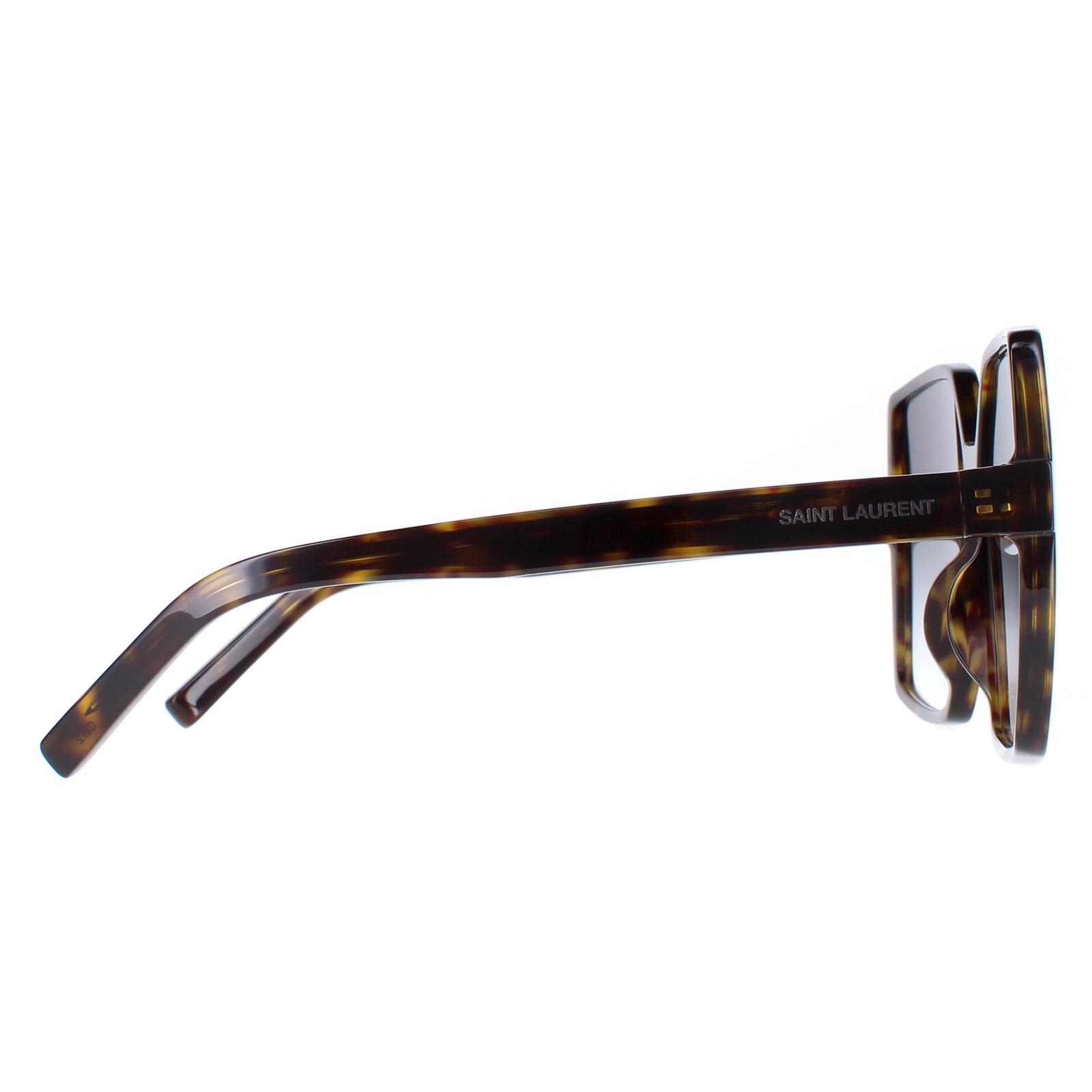 Brown Square Havana Blue Gradient SL 232-BETTY, Image 4 of 4