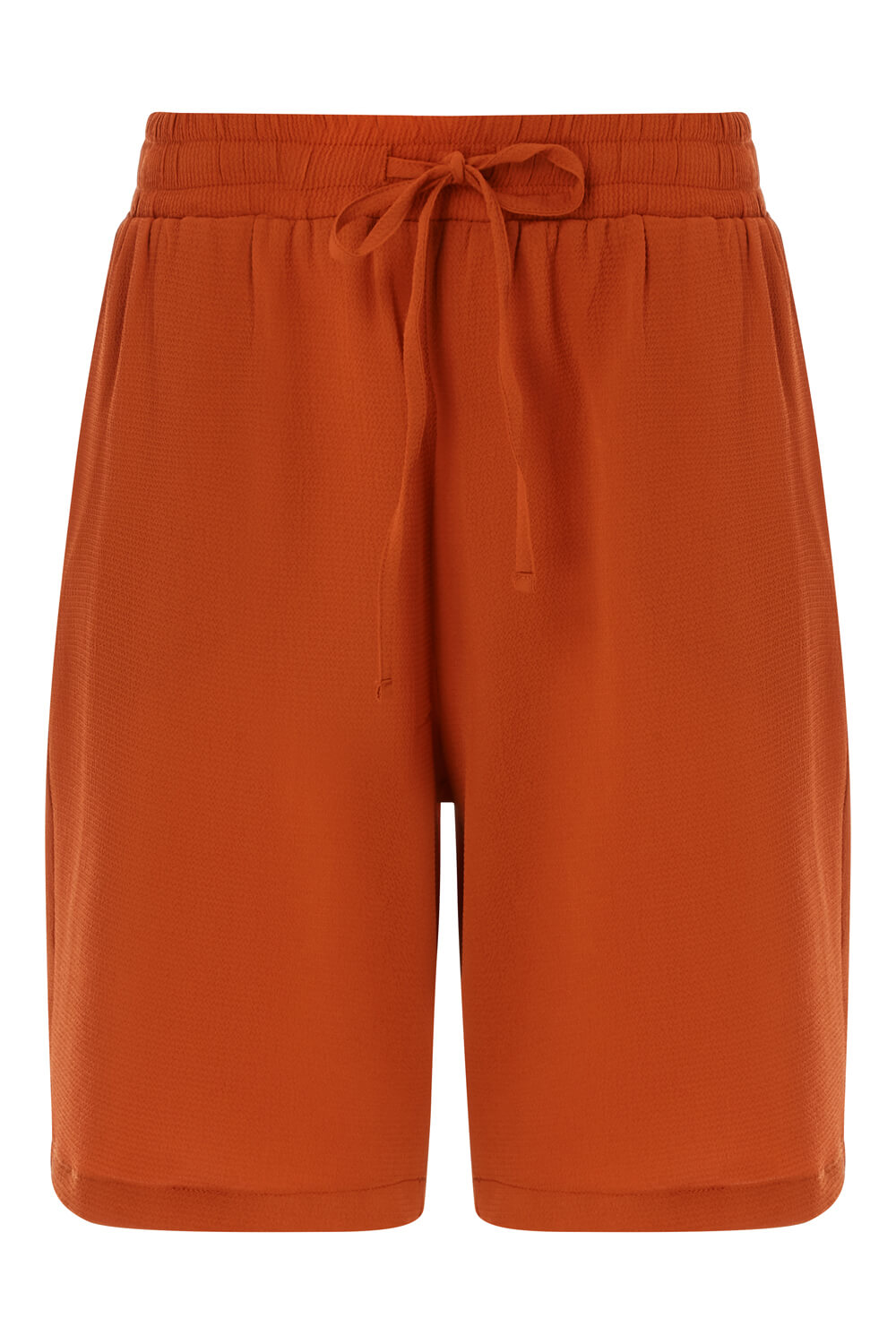 Rust Lightweight Shorts, Image 5 of 4