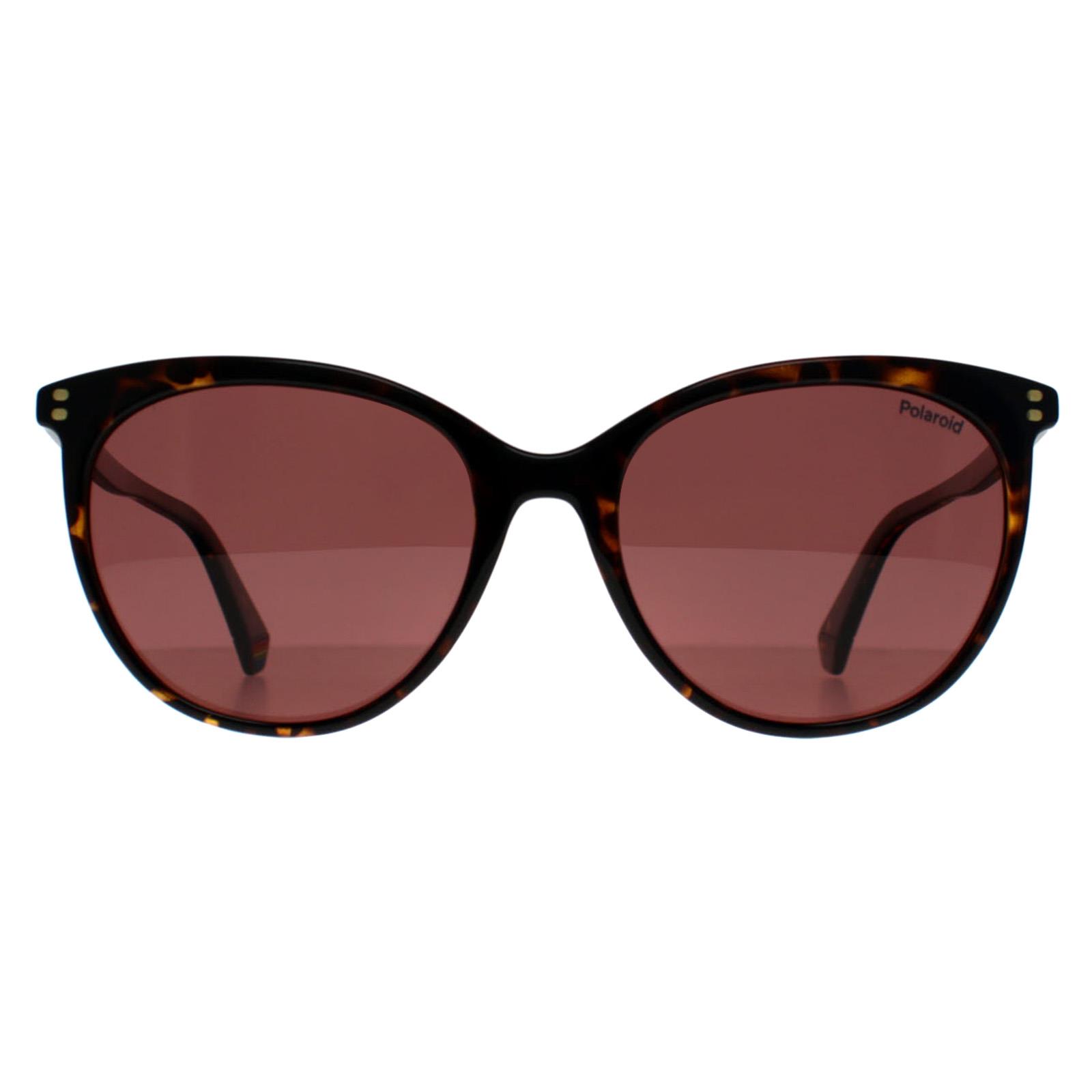 Brown Cat Eye Havana Violet Polarized PLD 6231/S, Image 1 of 3