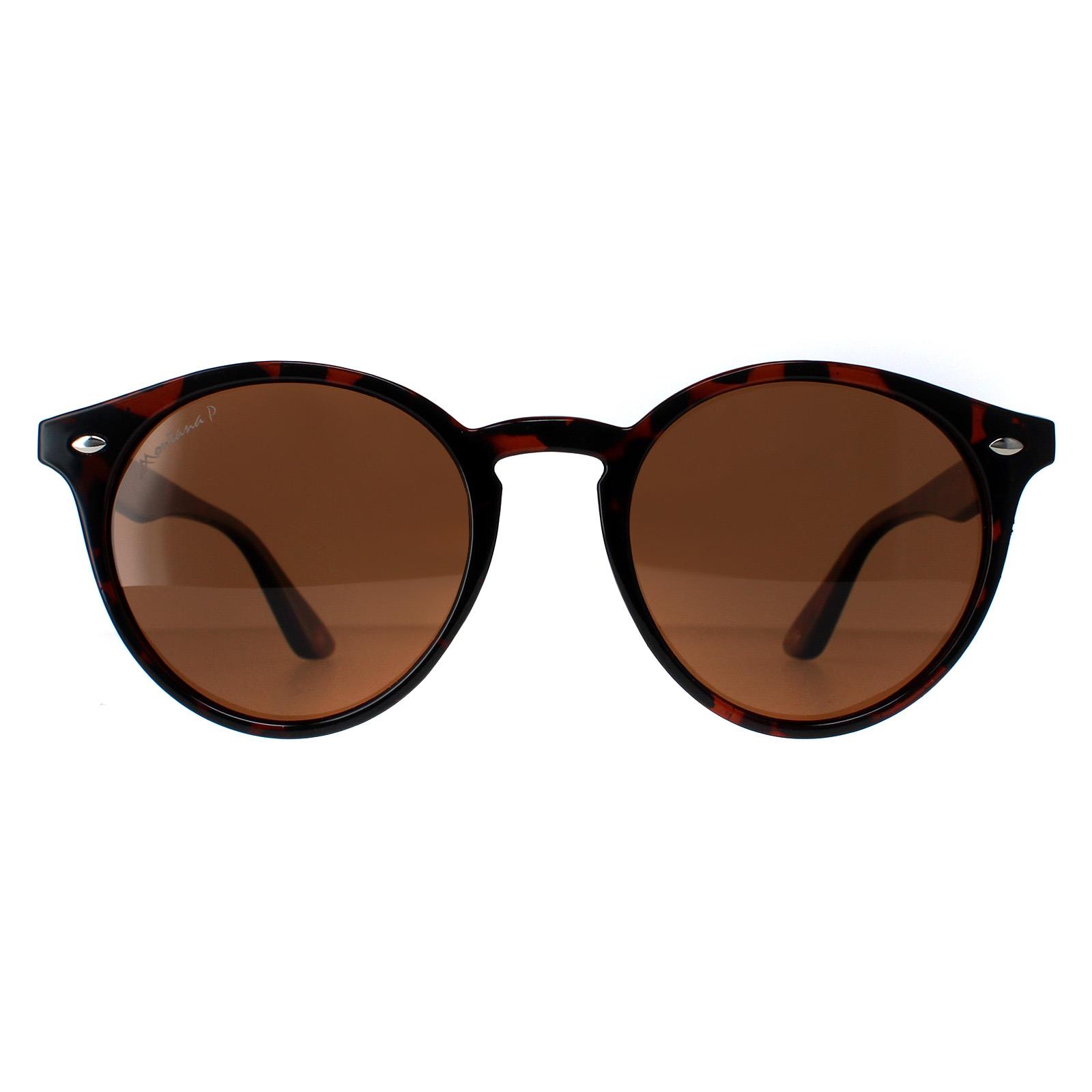 Brown Montana Brown Round Tortoise Brown Polarized MP20B Sunglasses, Image 1 of 4
