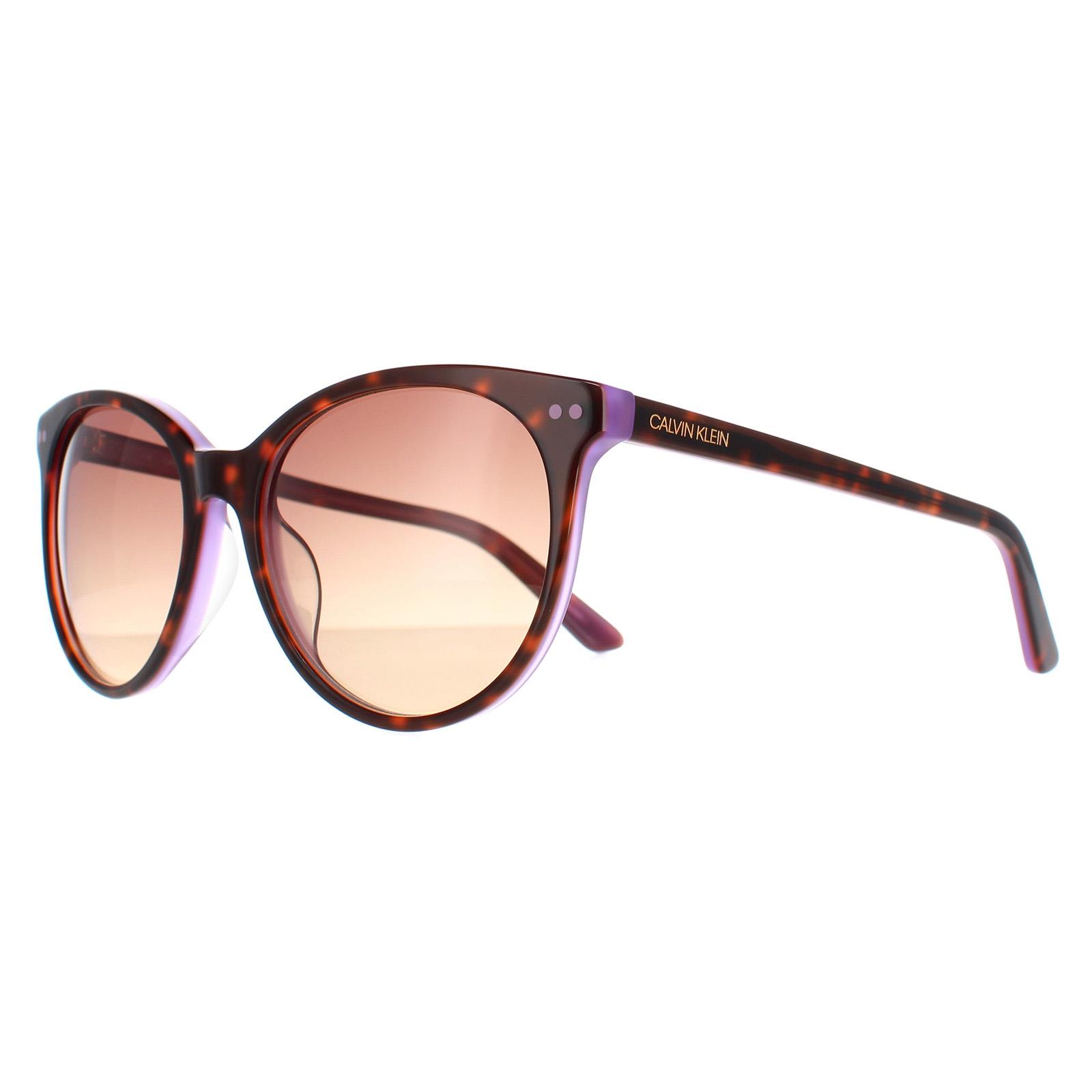 Brown Round Tortoise Milky Purple Brown CK18509S, Image 2 of 4