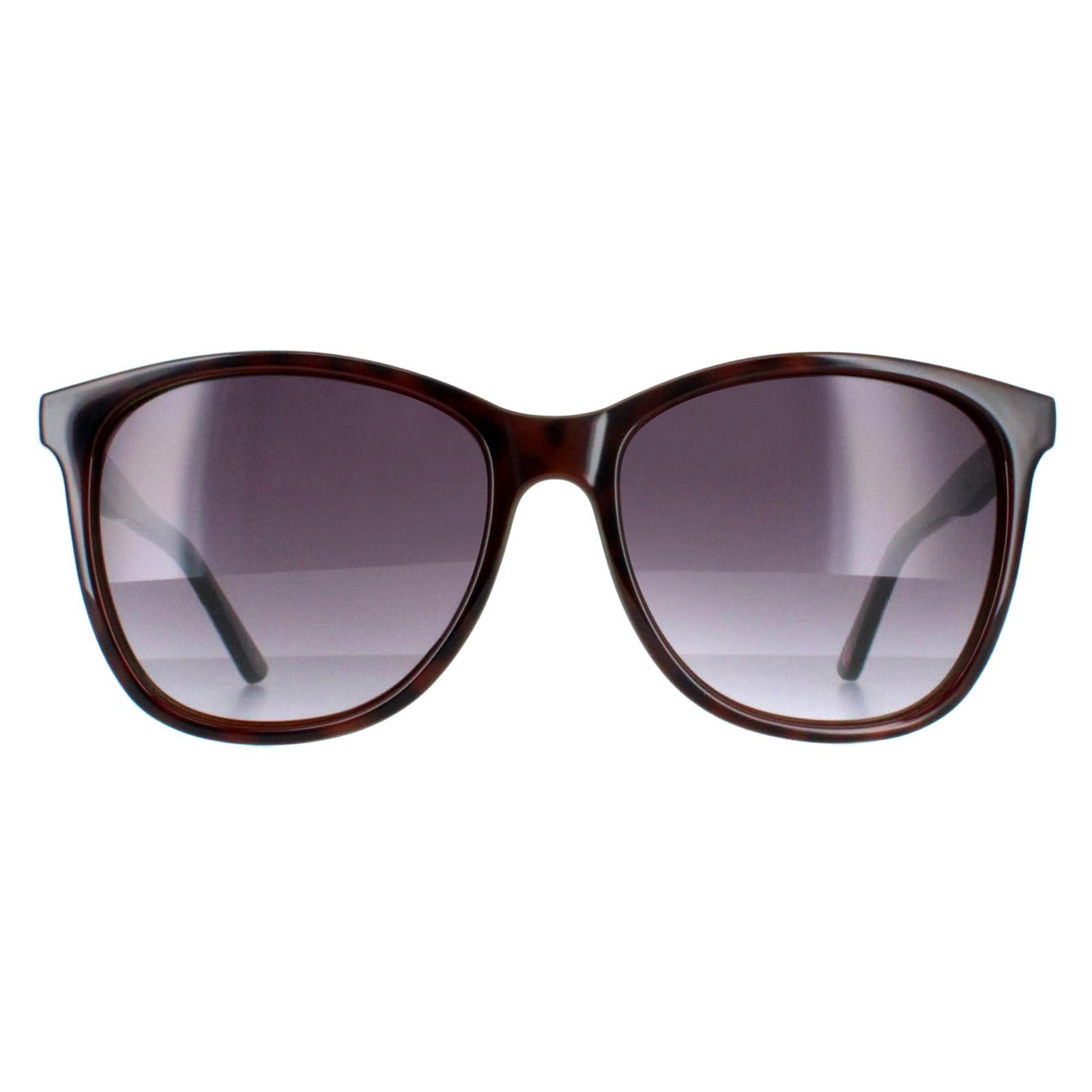 Brown Ted Baker Brown Oval Tortoiseshell Grey Gradient TB1496 Alva, Image 1 of 4