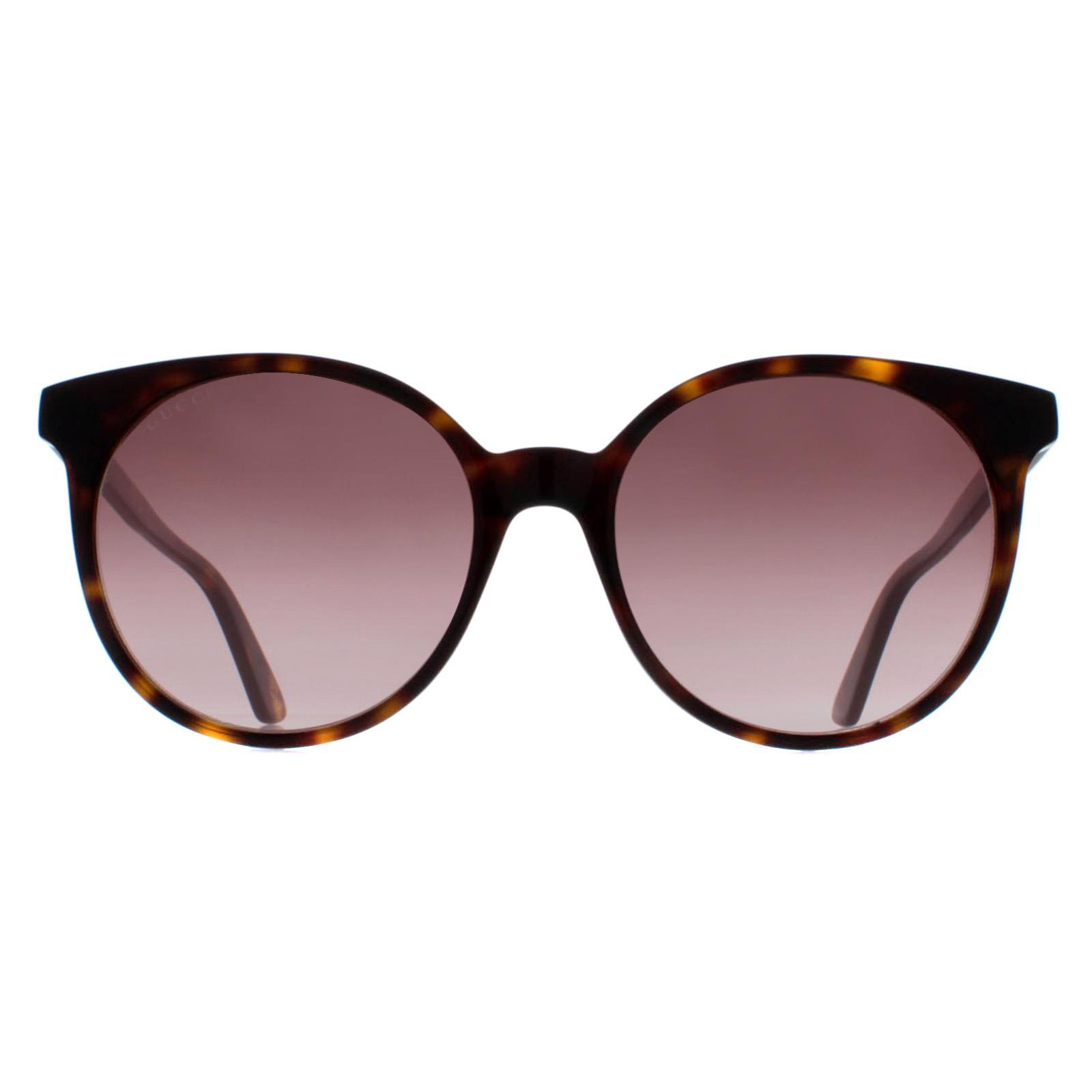 Brown Gucci Brown Round Dark Havana Brown Gradient GG0488S, Image 1 of 4