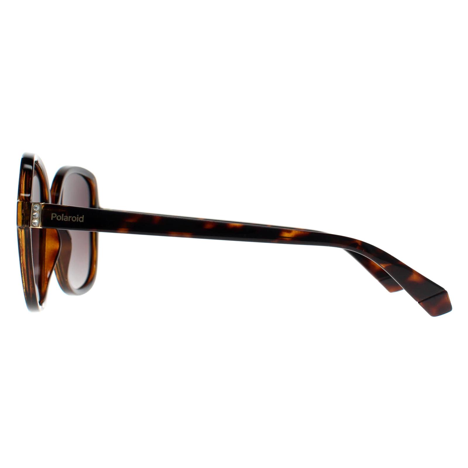 Brown Square Havana Brown Gradient Polarized PLD 4177/S/X, Image 3 of 4