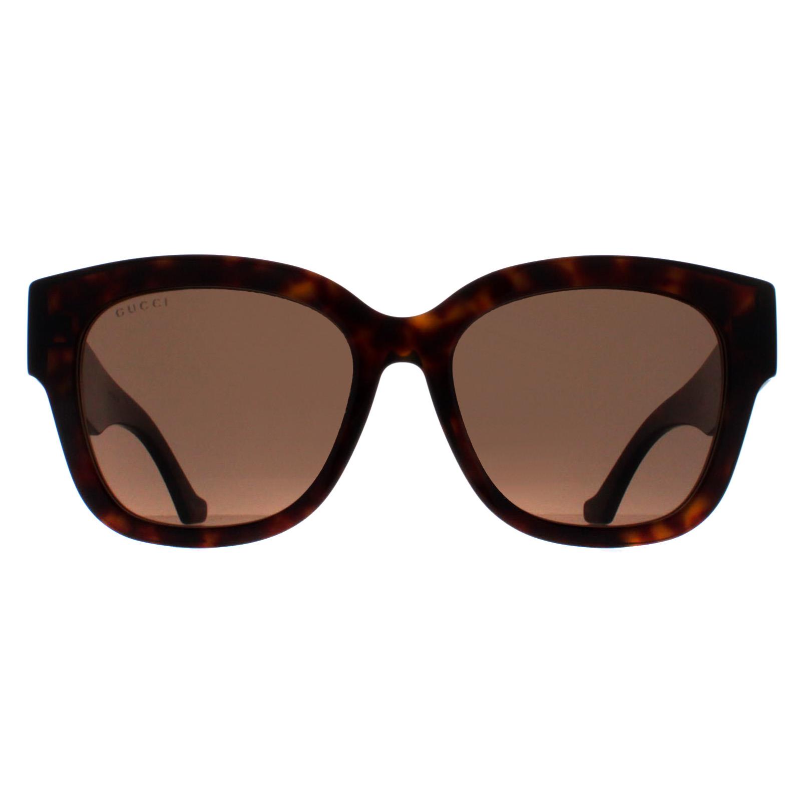 Brown Butterfly Havana Brown GG1550SK, Image 1 of 4