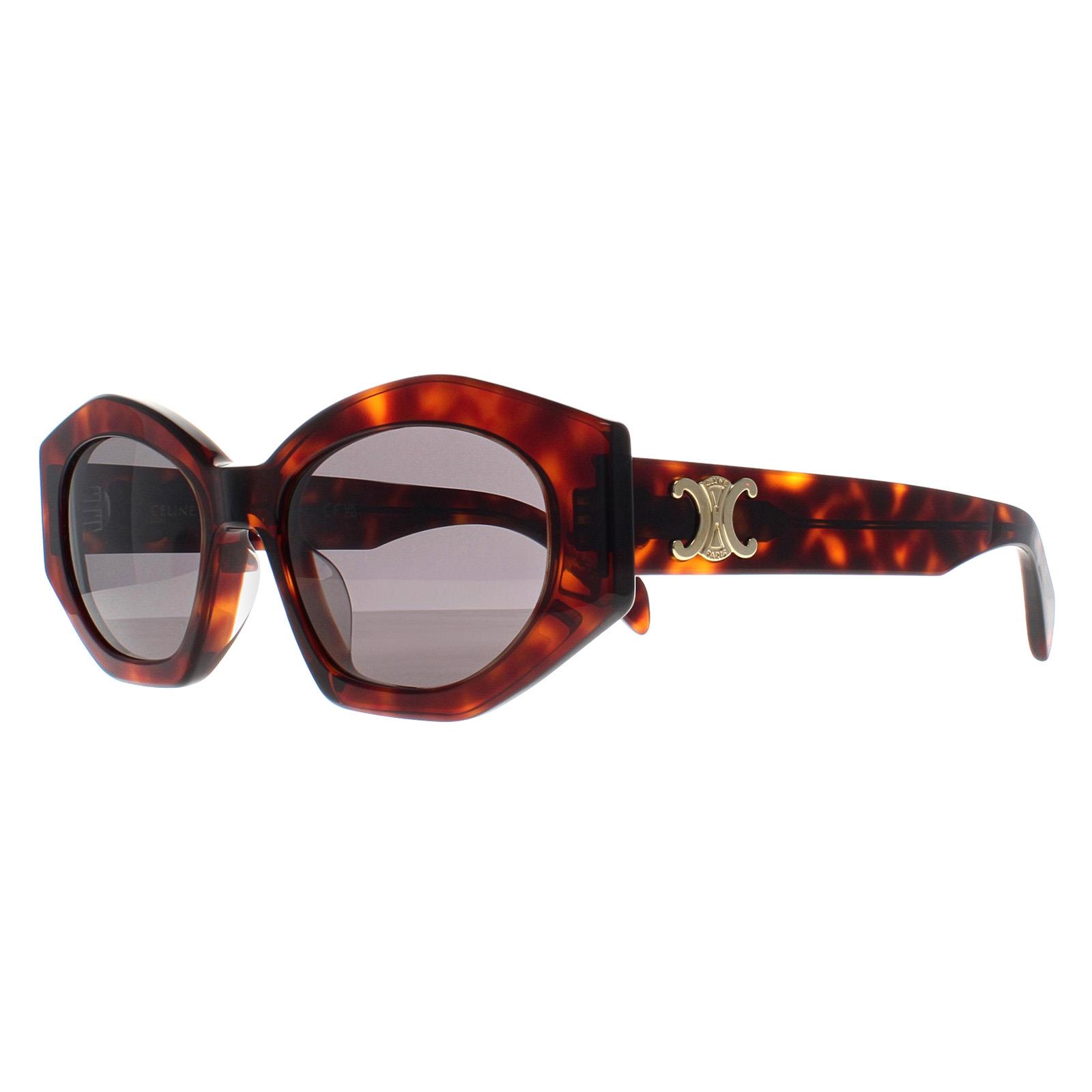 Cat Eye Dark Havana Smoke Grey Triomphe CL40238U, Image 2 of 4