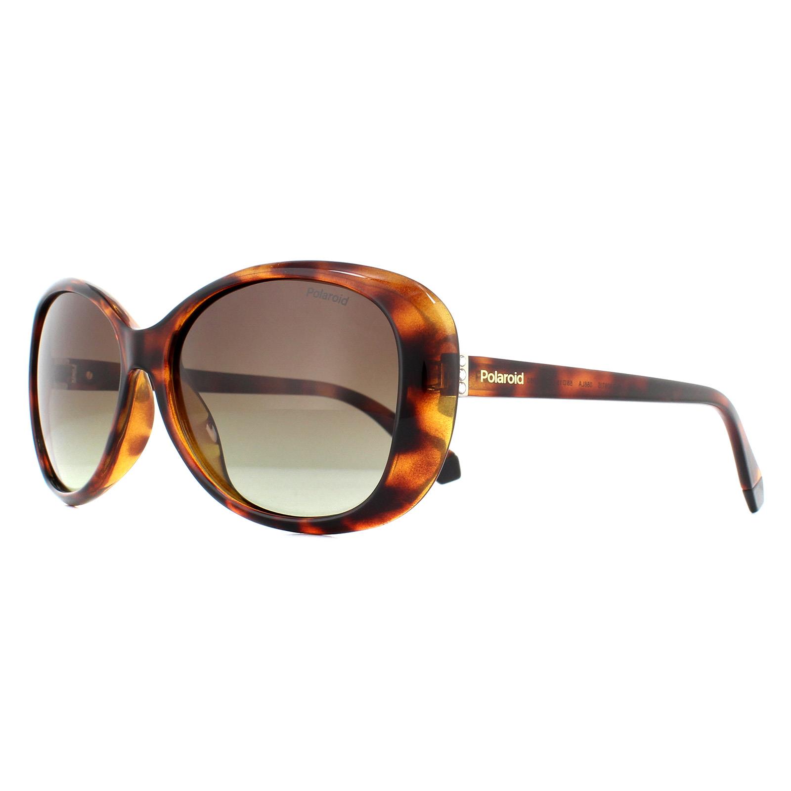 Brown Fashion Havana Brown Gradient Polarized Sunglasses, Image 2 of 4
