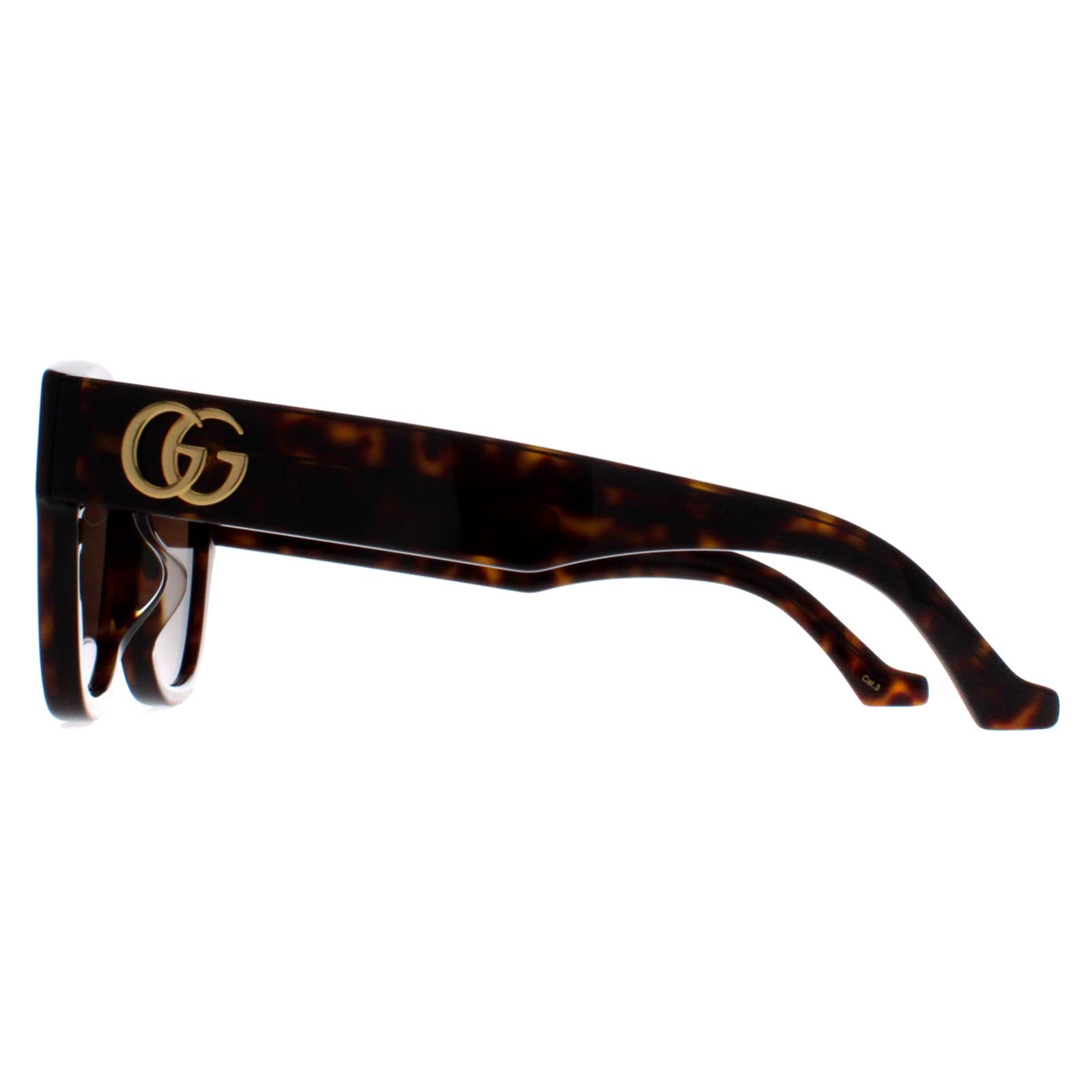 Brown Butterfly Havana Brown GG1550SK, Image 3 of 4
