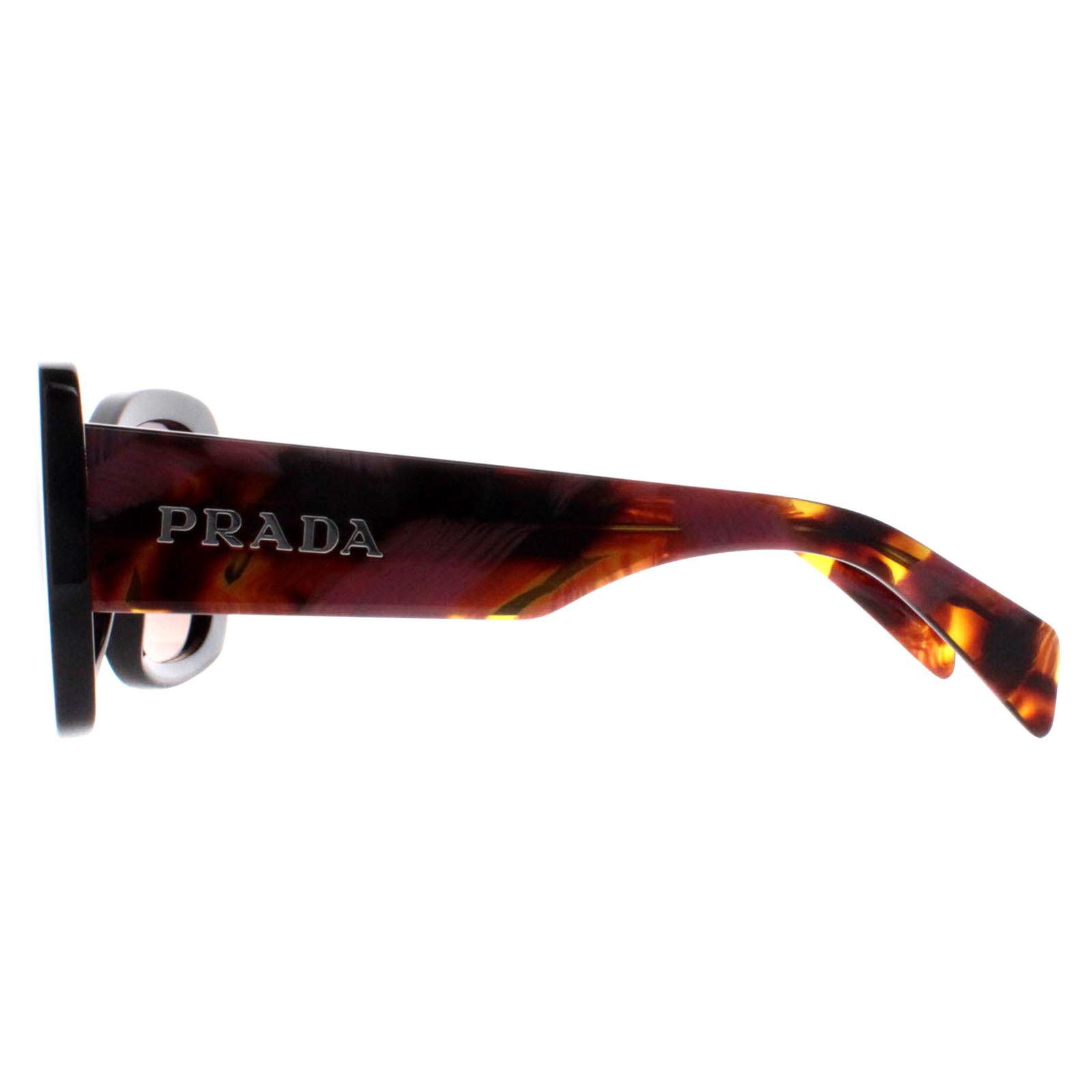 Black Prada Black Oval Mahogany Brown Gradient PRA08S, Image 3 of 4