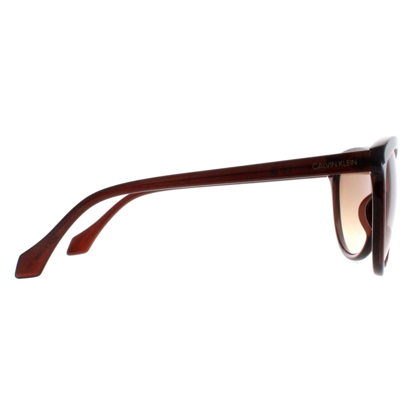 Brown Calvin Klein Brown Cat Eye Crystal Brown Brown Gradient CK19534S, Image 4 of 4