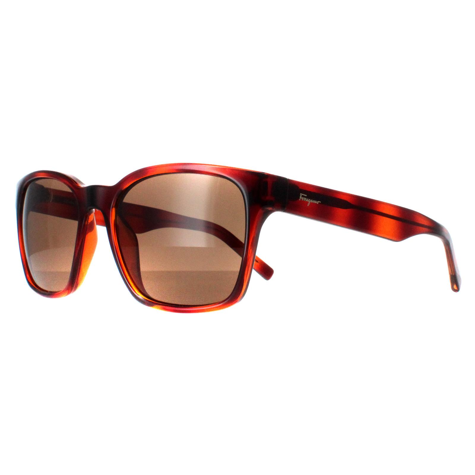 Brown Salvatore Ferragamo Brown Square Tortoise Brown SF959S, Image 2 of 4