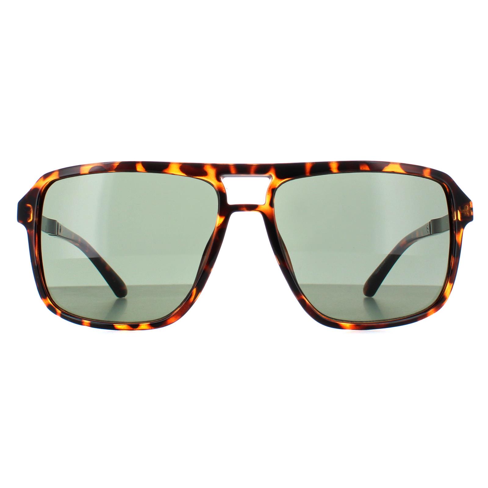 Brown Aviator Dark Havana Green GF5085, Image 1 of 4