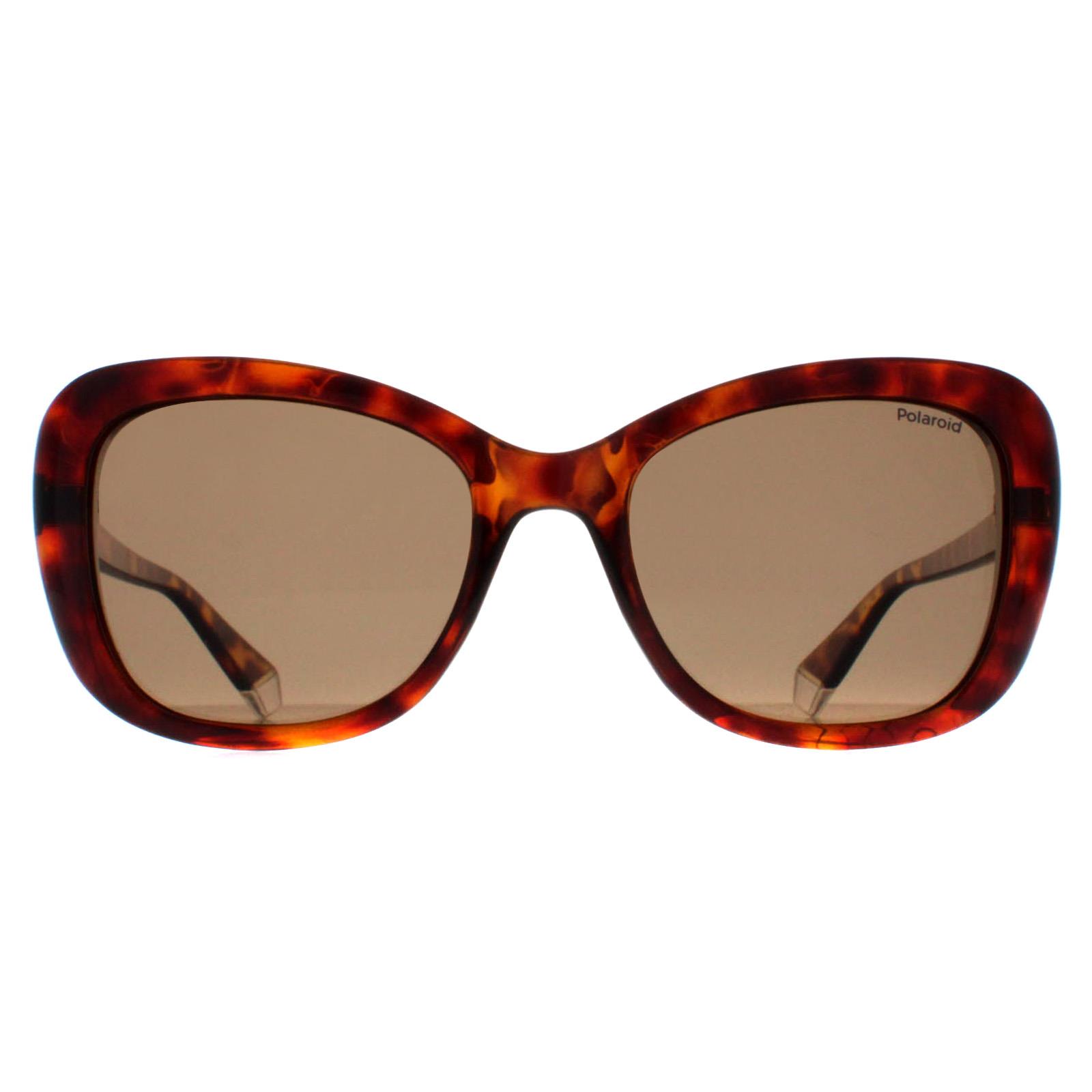 Brown Butterfly Havana Bronze Polarized PLD 4132/S, Image 1 of 4