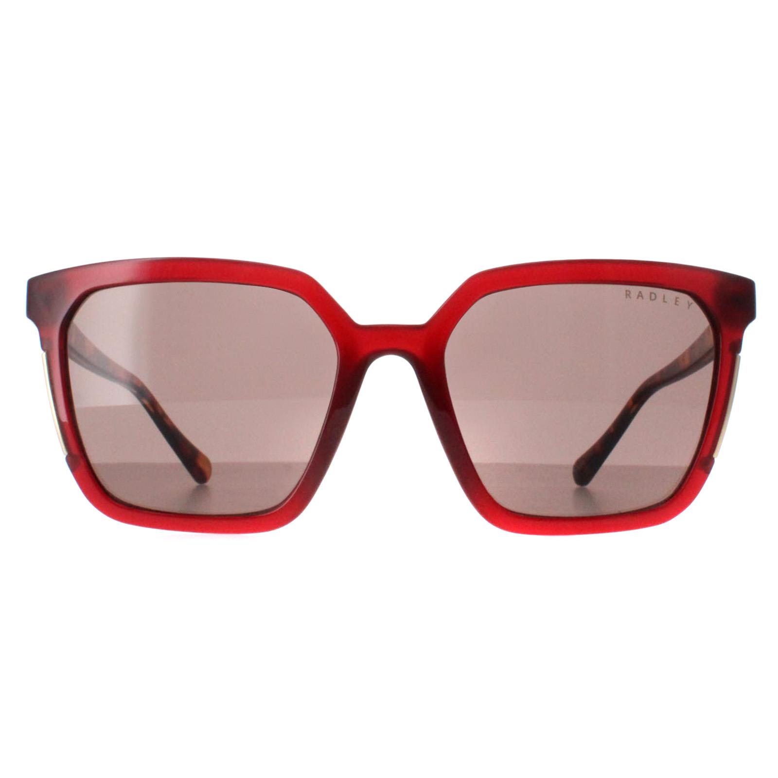 Red Radley Red Square Transparent Burgundy Brown Allington 6506, Image 1 of 4