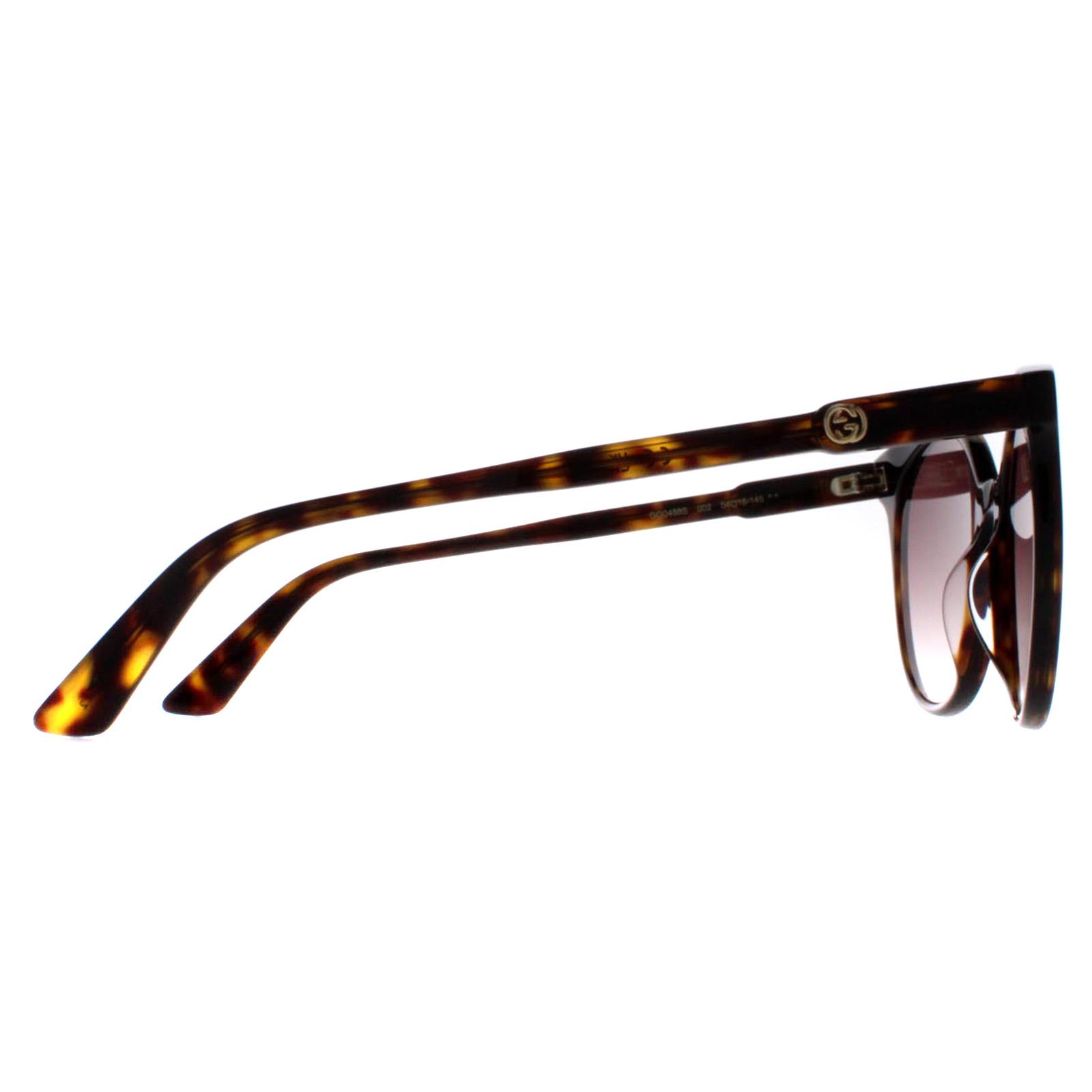Brown Gucci Brown Round Dark Havana Brown Gradient GG0488S, Image 4 of 4