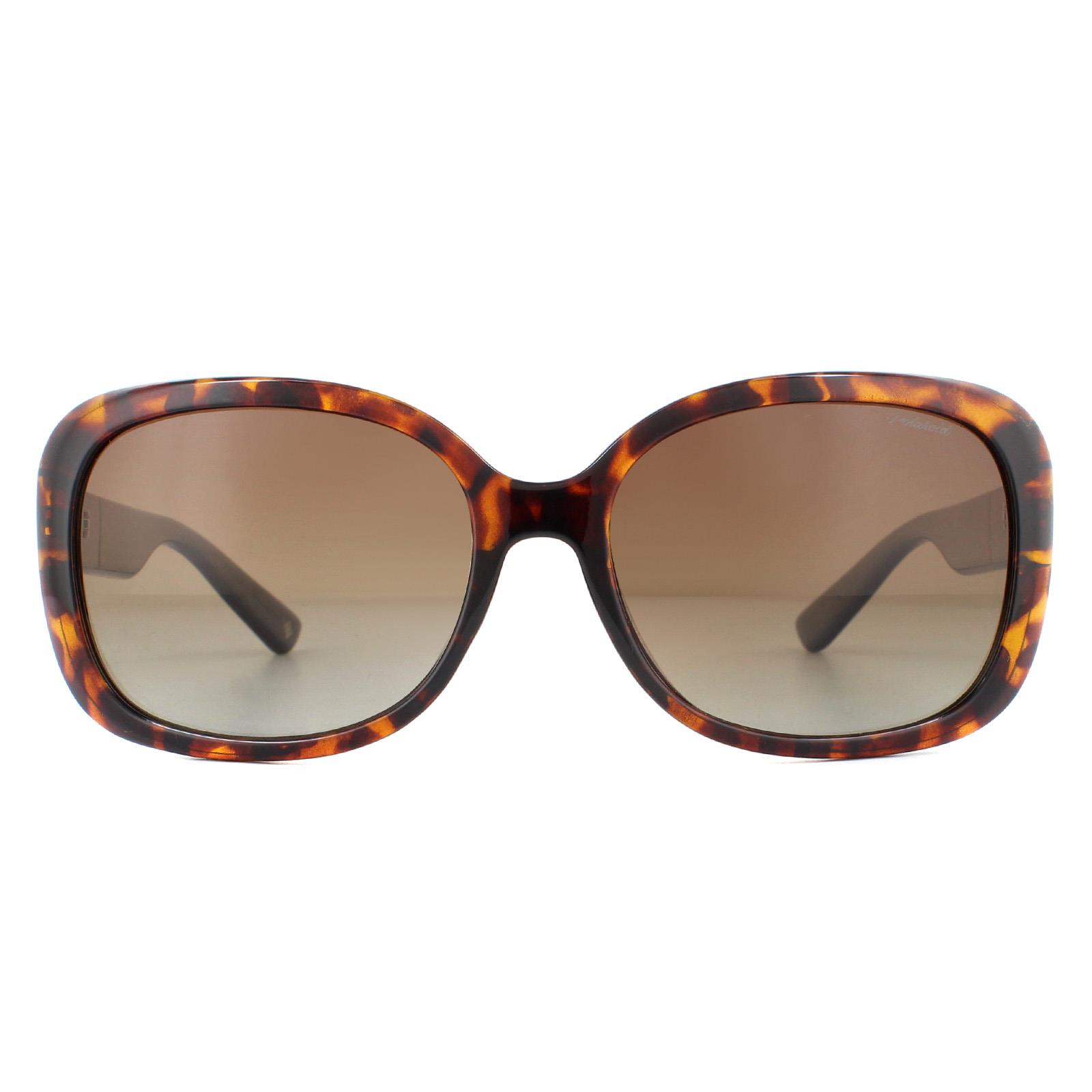 Brown Fashion Havana Brown Gradient Polarized Sunglasses, Image 1 of 4