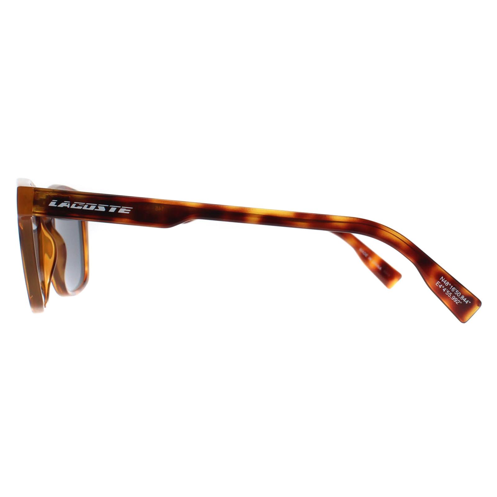 Brown Lacoste Brown Cat Eye Tortoise Blue L988S, Image 3 of 4