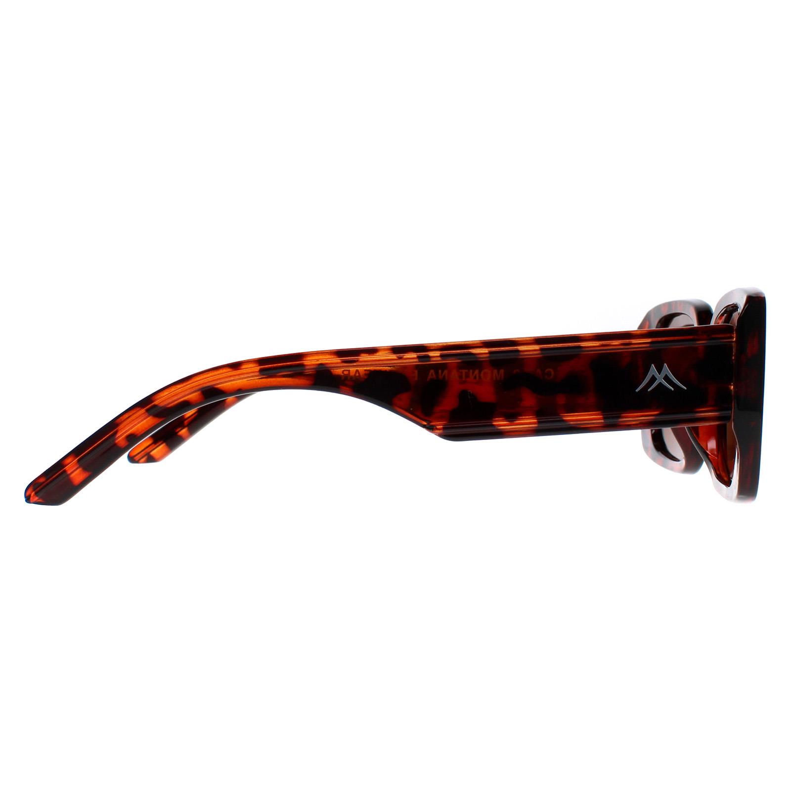 Brown Montana Brown Rectangle Shiny Turtle Brown Polarized MP76, Image 4 of 4