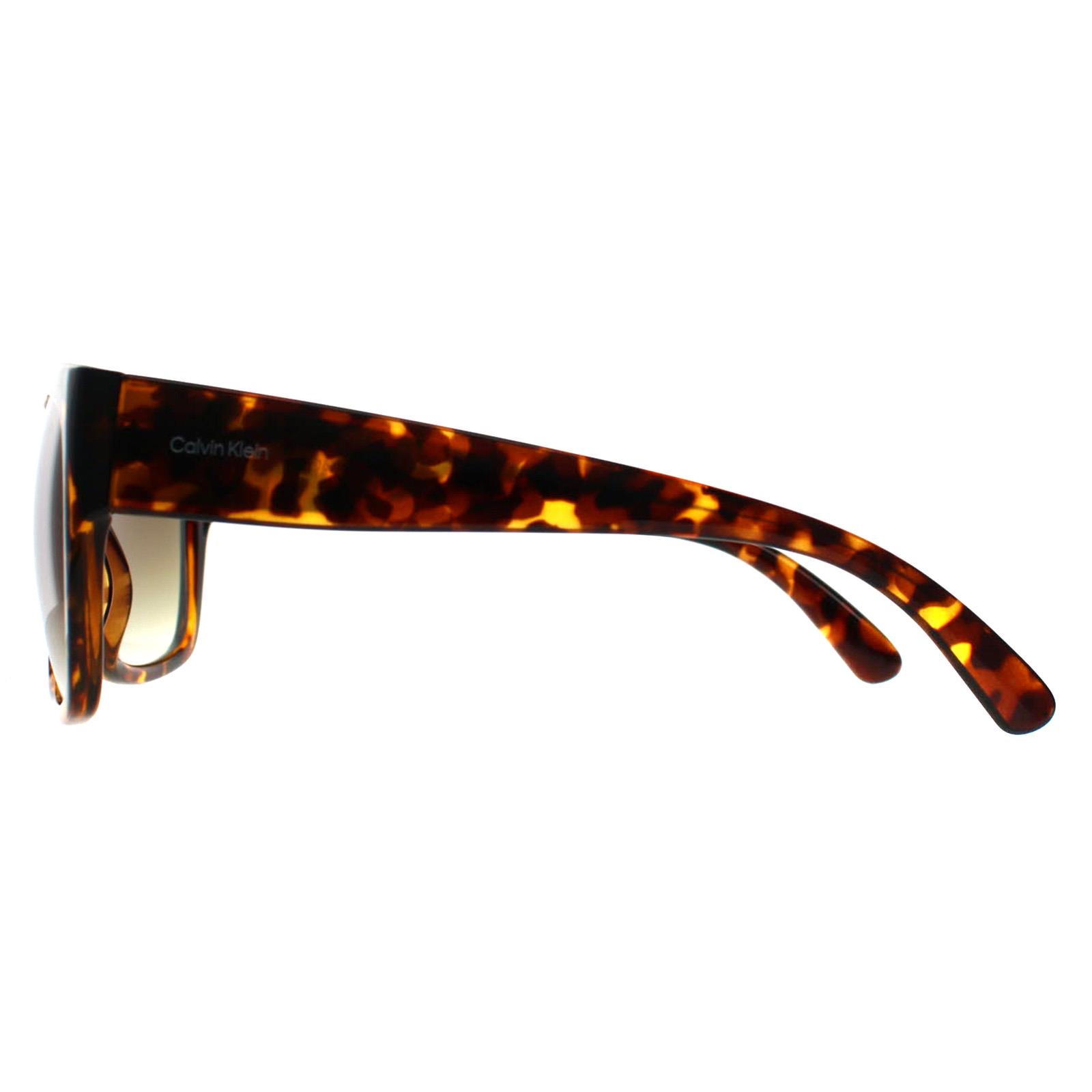 Brown Calvin Klein Brown Square Shiny Havana Brown Gradient CK22549S, Image 3 of 3