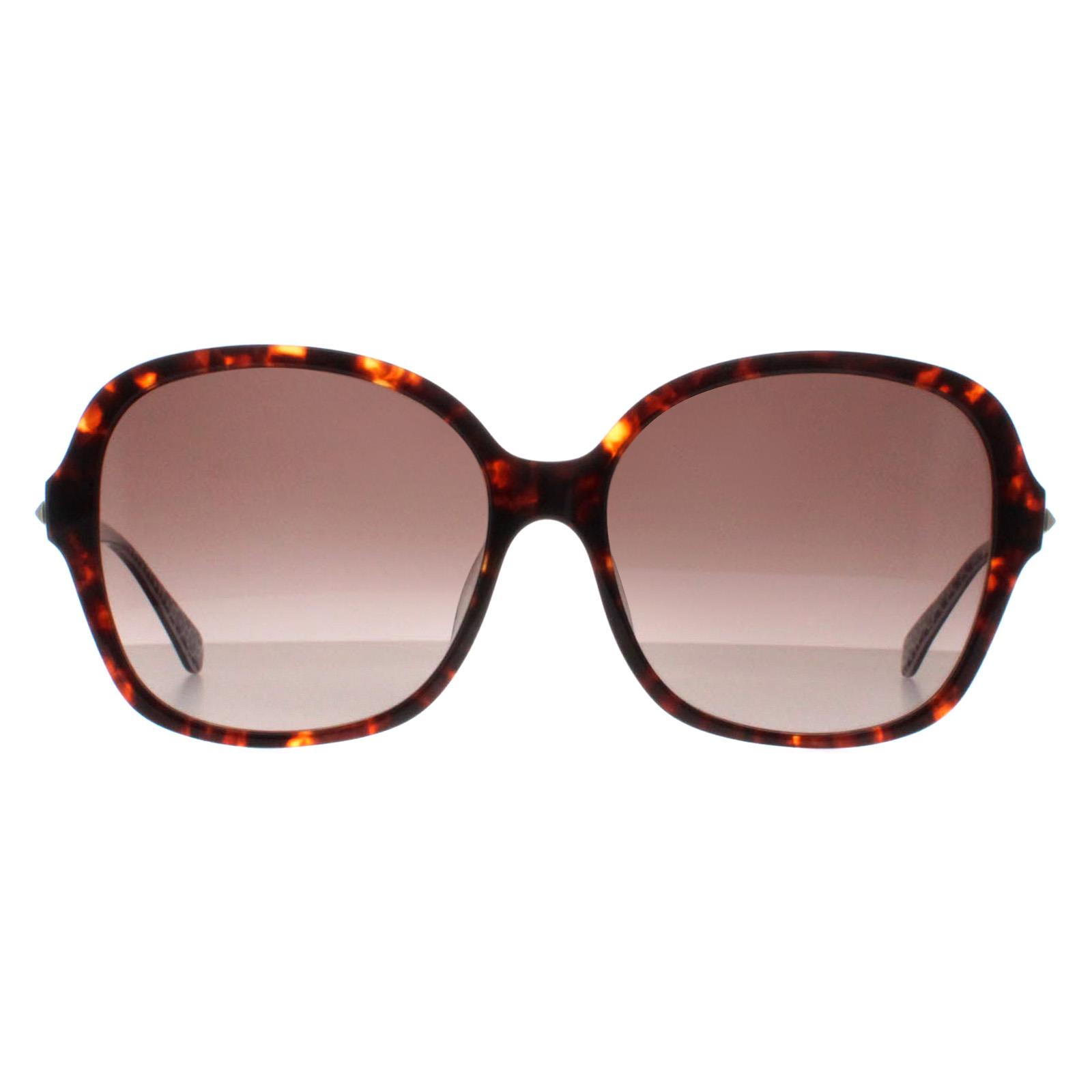 Brown Buttefly Havana Brown Gradient Kaiya/F/S, Image 1 of 4