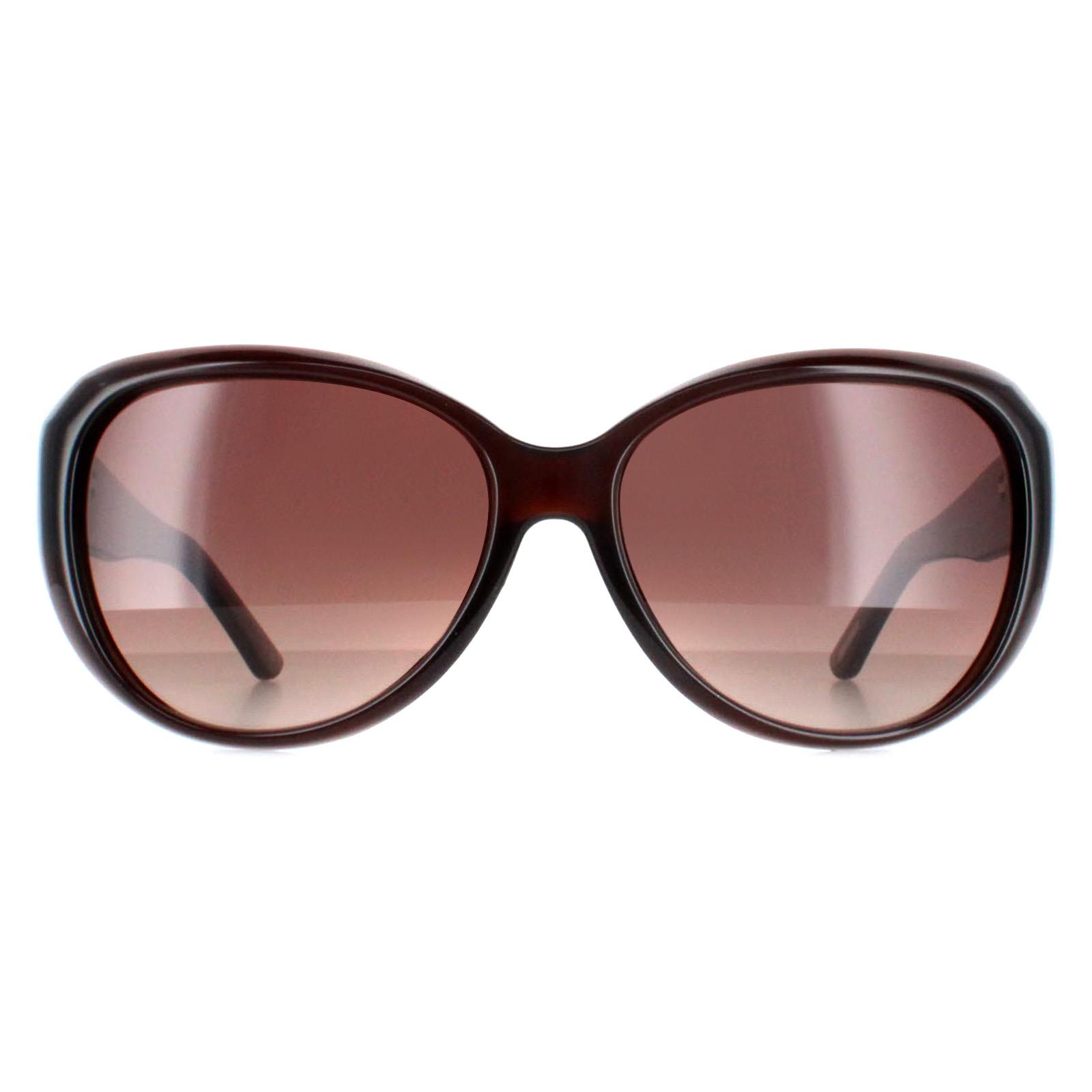 Brown Ted Baker Brown Oval Brown Brown Gradient TB1290 Avignon, Image 1 of 4