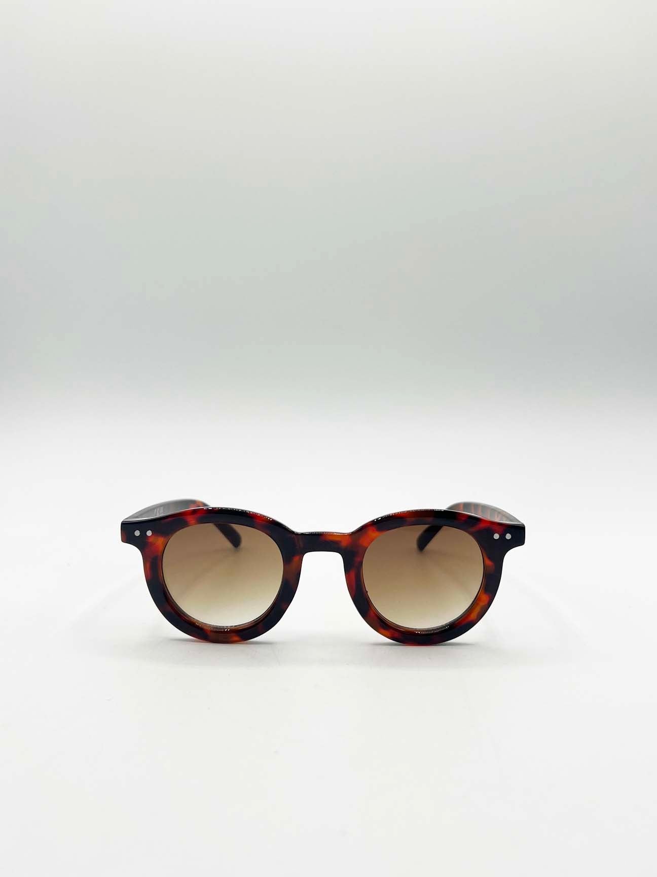 Brown Bold Rounded Sunglasses In Tortoiseshell