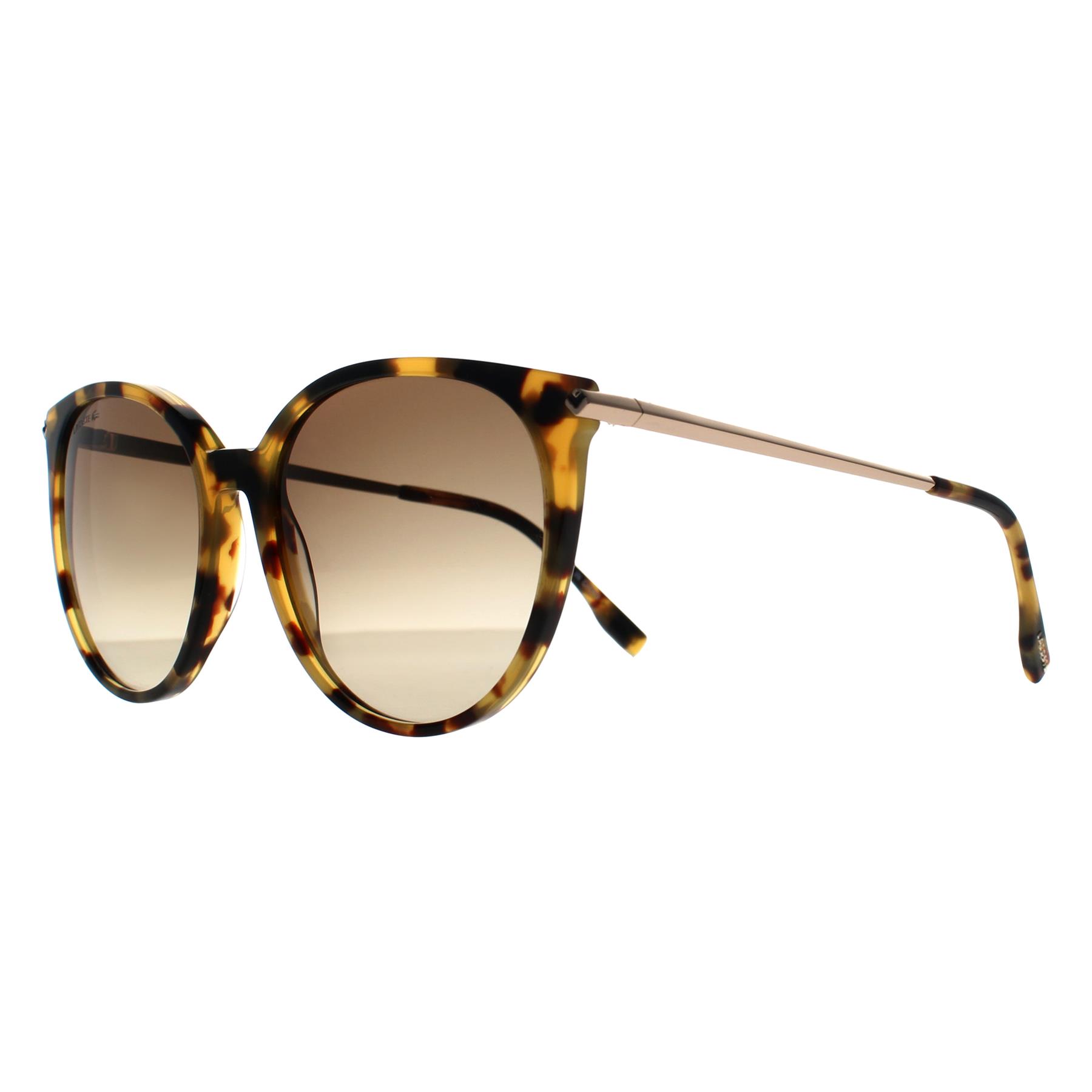 Brown Lacoste Brown Round Havana Grey Gradient L928S, Image 2 of 3