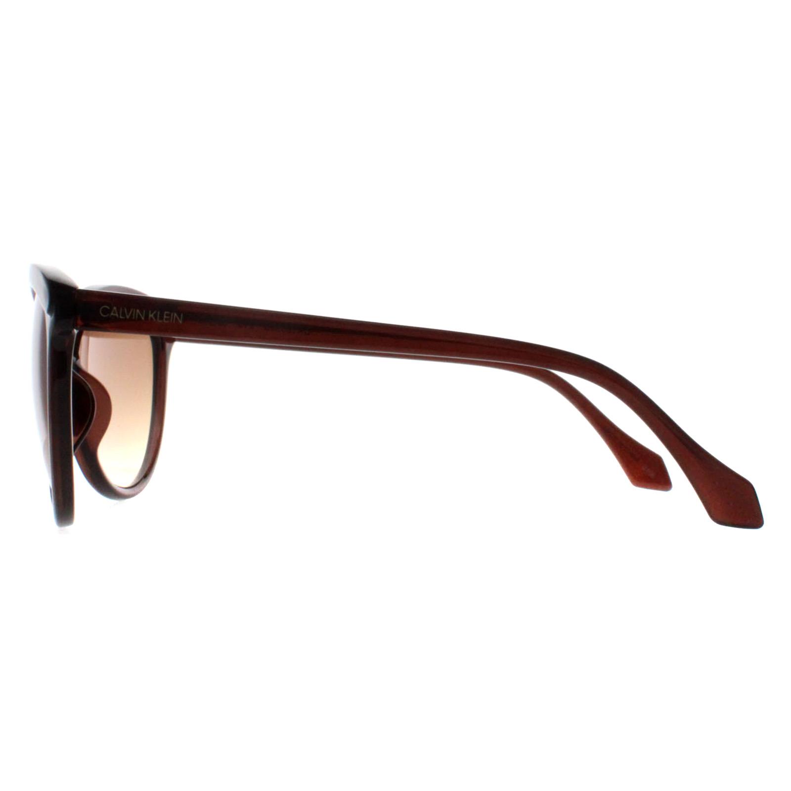 Brown Calvin Klein Brown Cat Eye Crystal Brown Brown Gradient CK19534S, Image 3 of 4