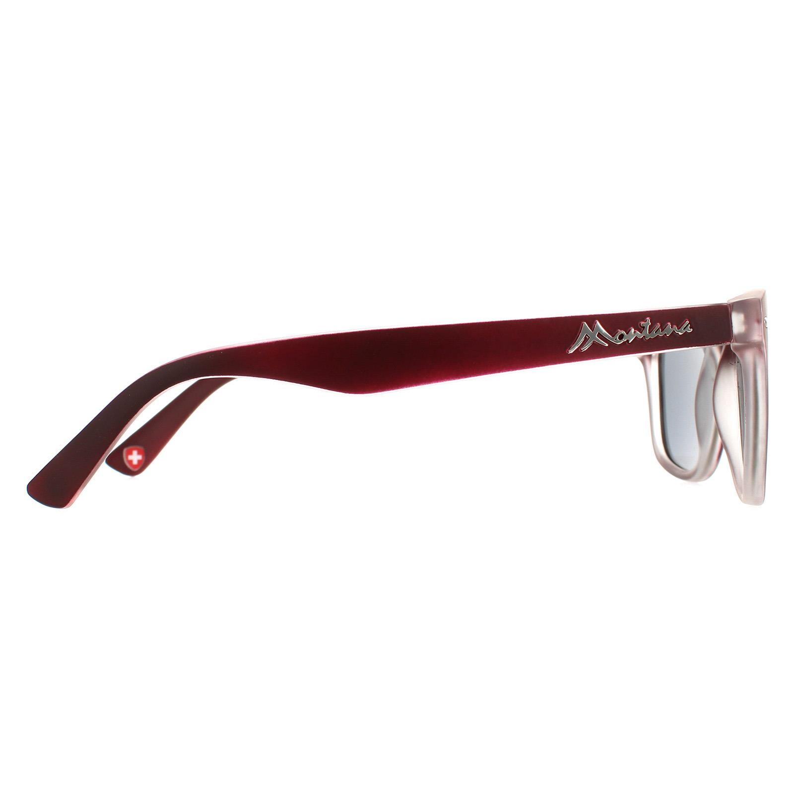 Red Square Burgundy Rubbertouch Grey Polarized MP41 Sunglasses, Image 4 of 4