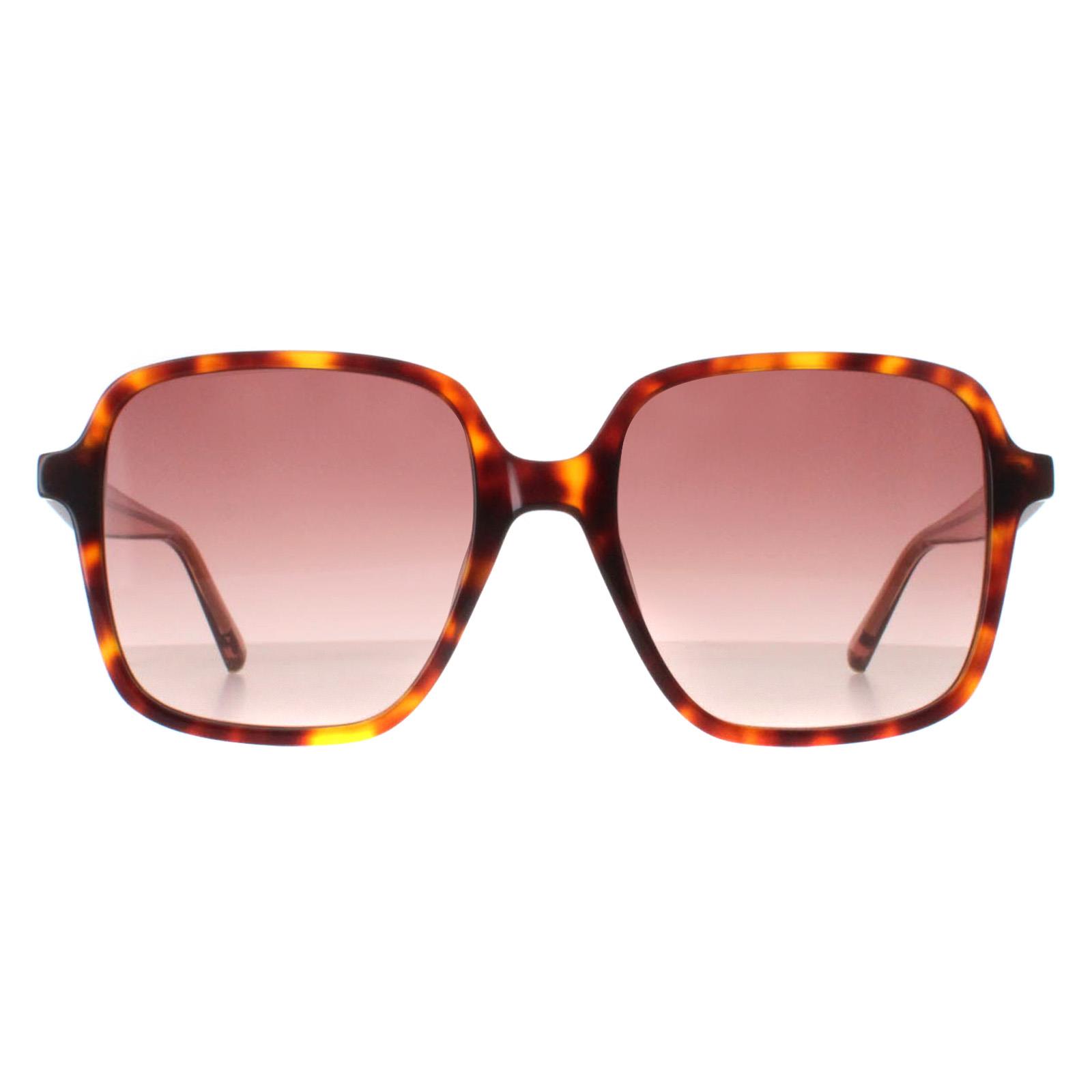 Brown Ted Baker Brown Square Tortoise Pink Gradient TB1688, Image 1 of 4
