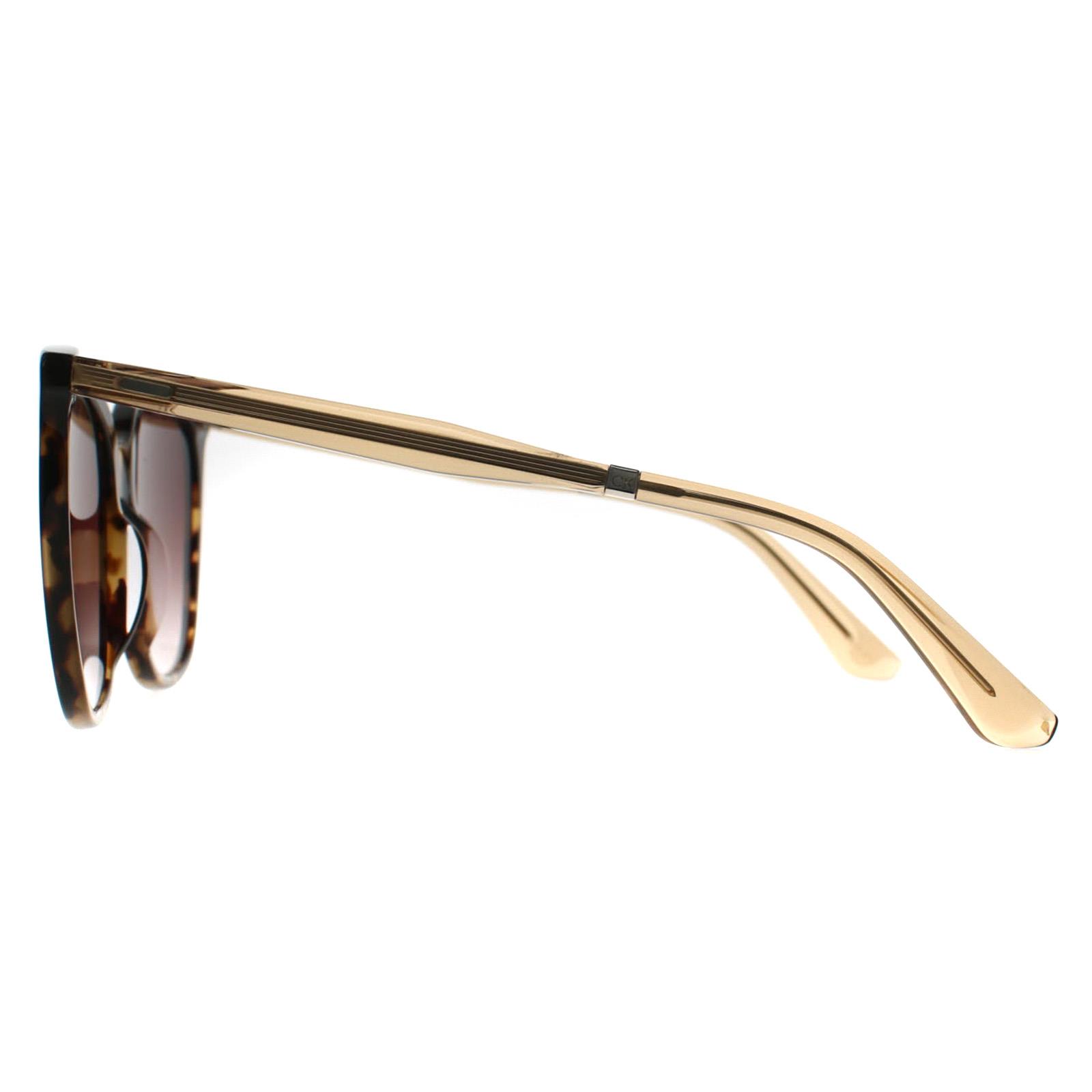 Brown Calvin Klein Brown Round Dark Tortoise Dark Brown Gradient CK23500S, Image 3 of 3