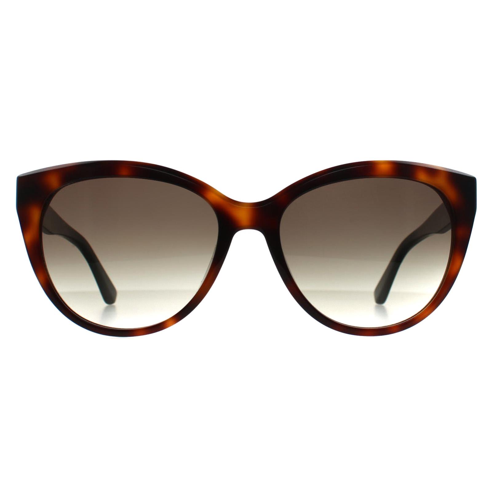Brown Cat Eye Havana Black Brown Gradient CK22520S, Image 1 of 3