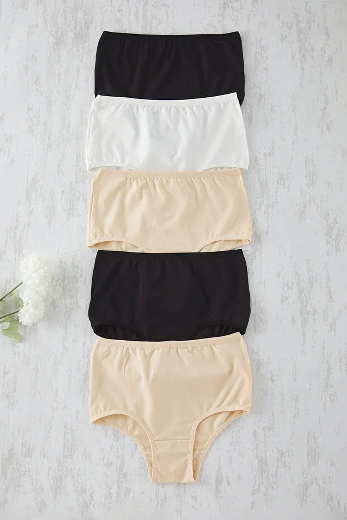 Multi 5 Pack Plain High Waist Seamfree Briefs Set, Image 3 of 3
